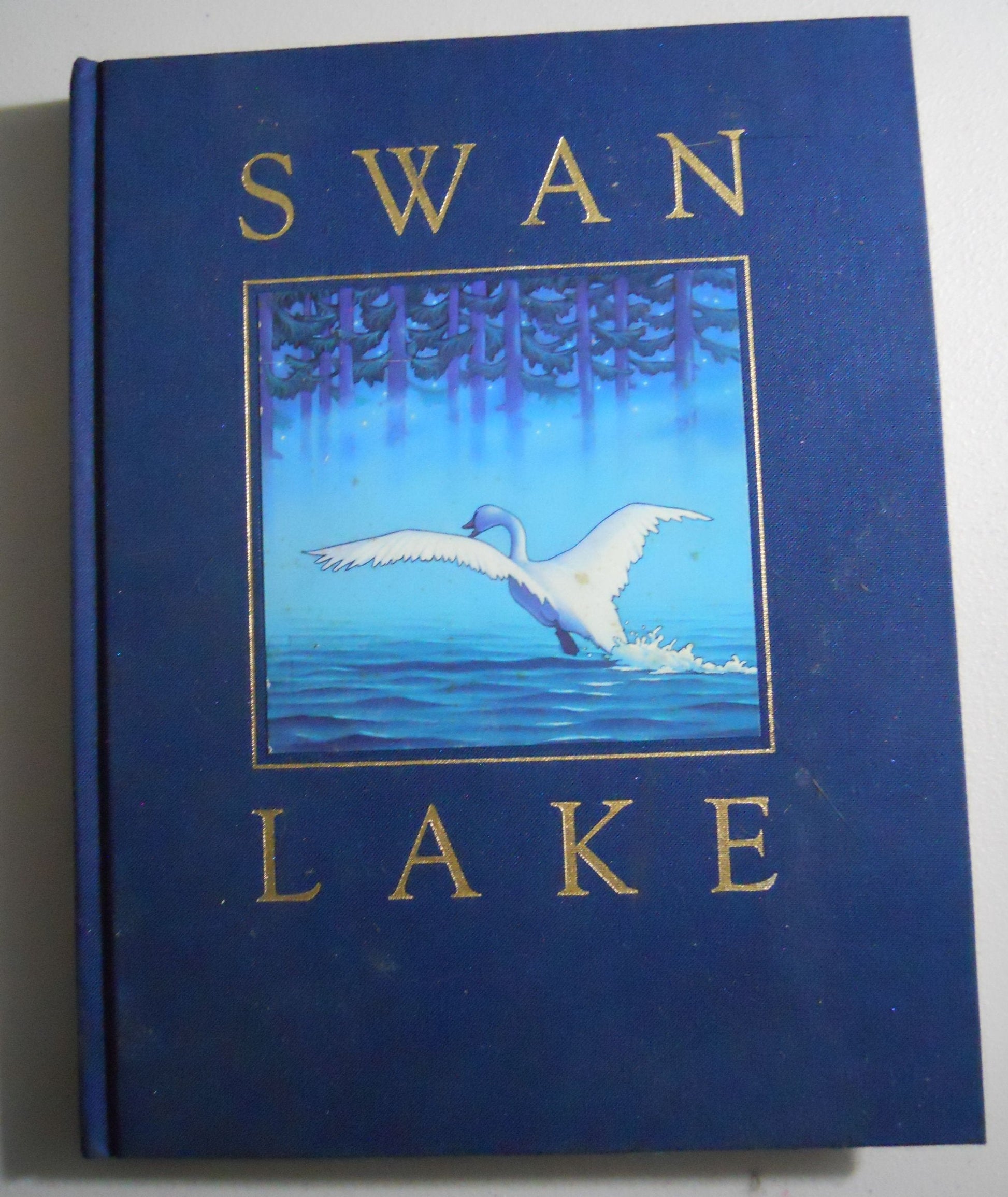 Swan Lake used book depot