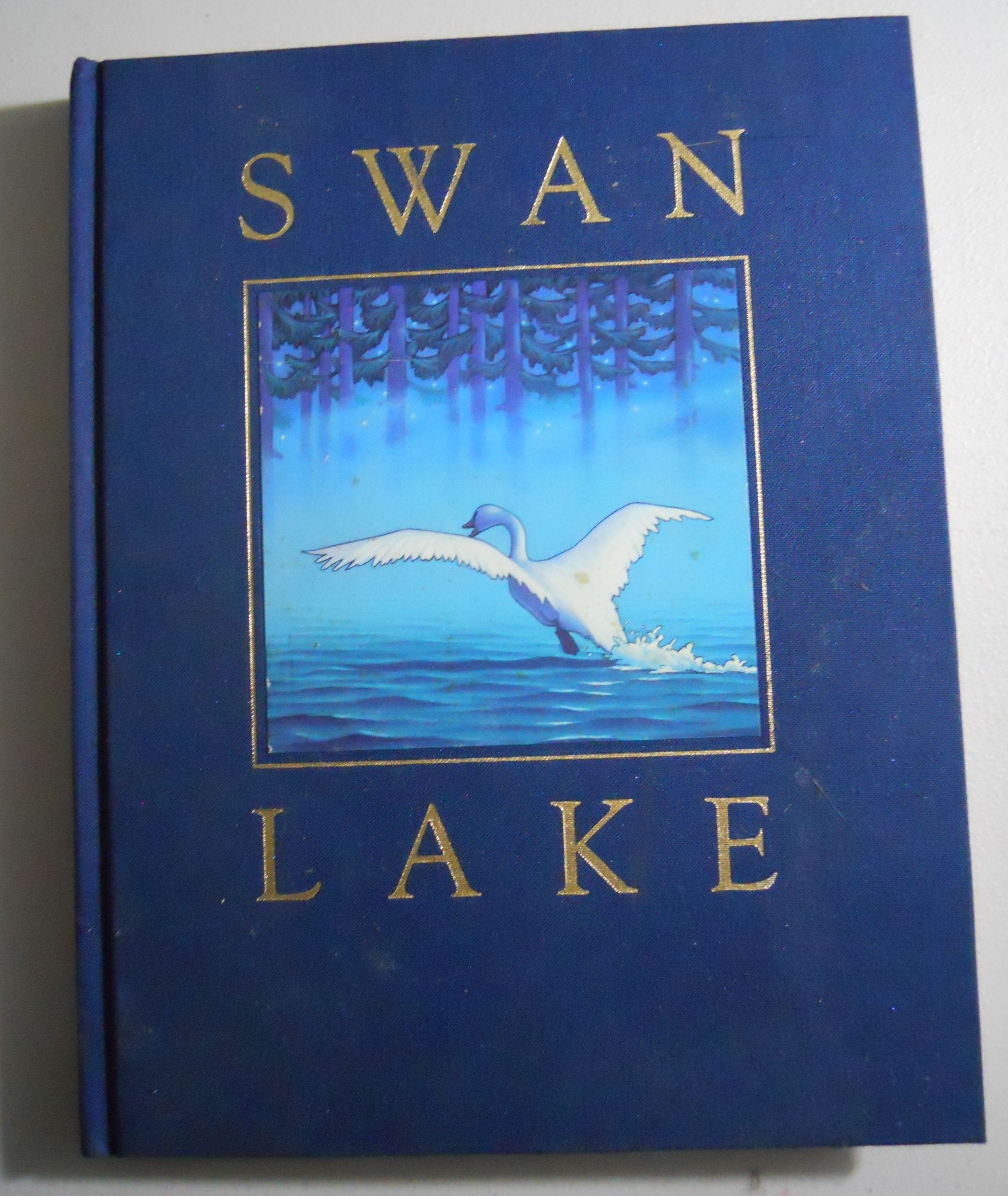 Swan Lake used book depot