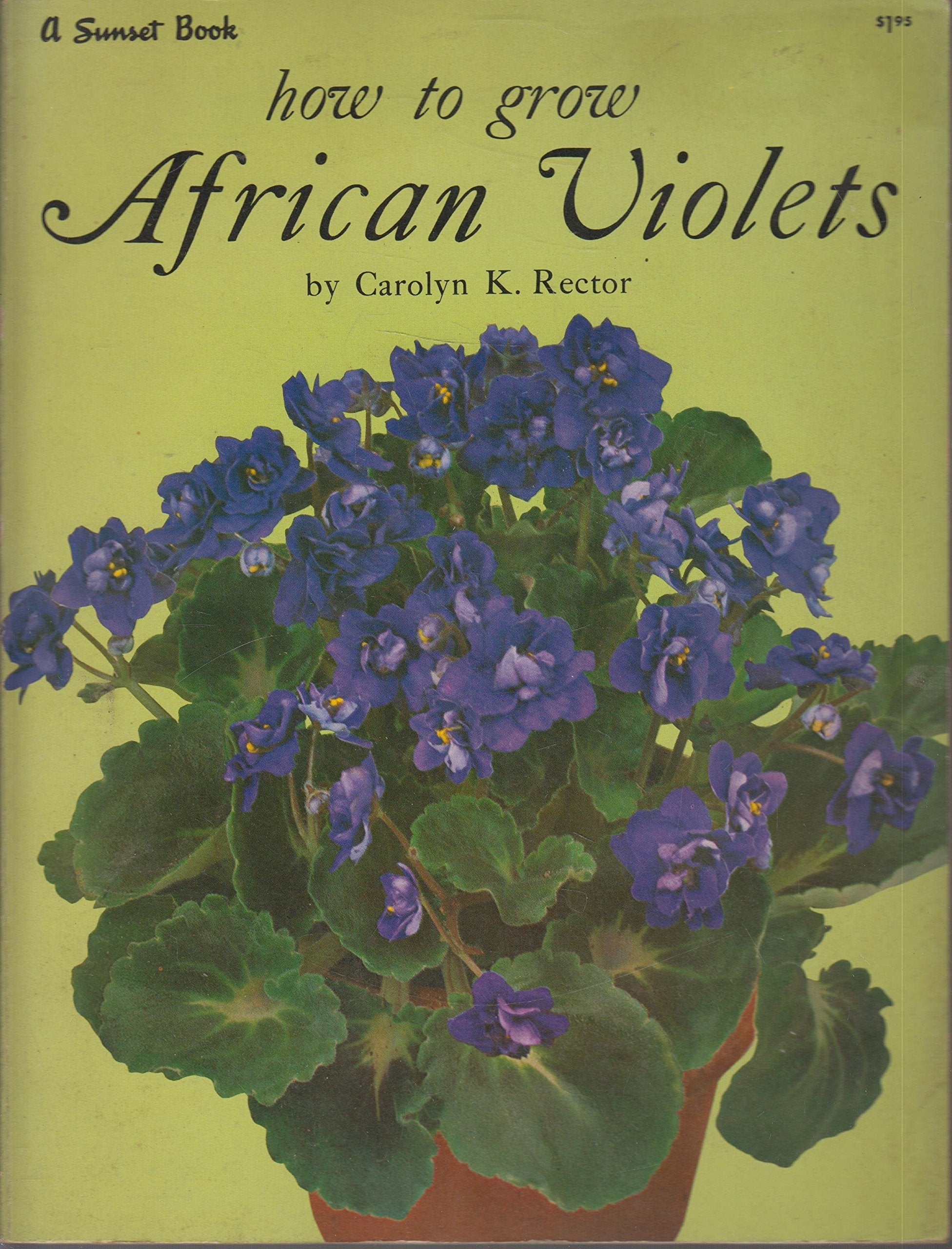 How to Grow African Violets used book depot