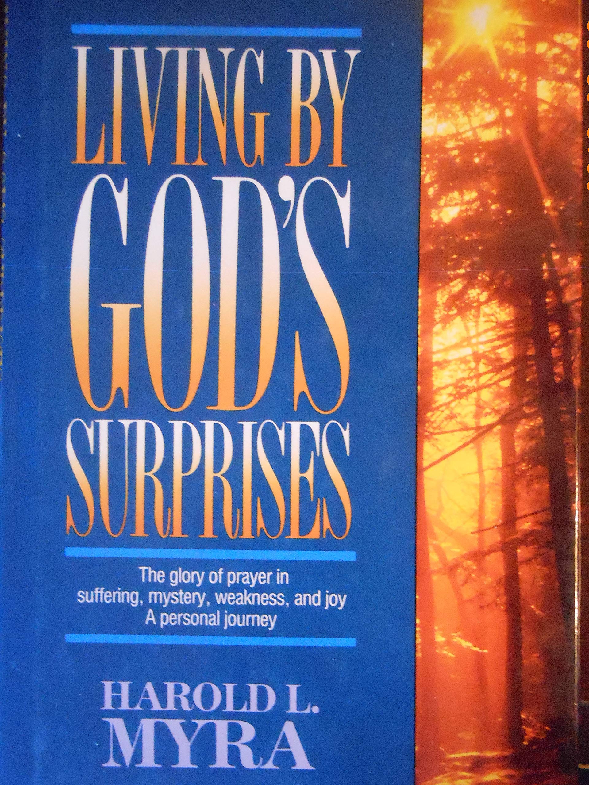 Living by God's Surprises used book depot