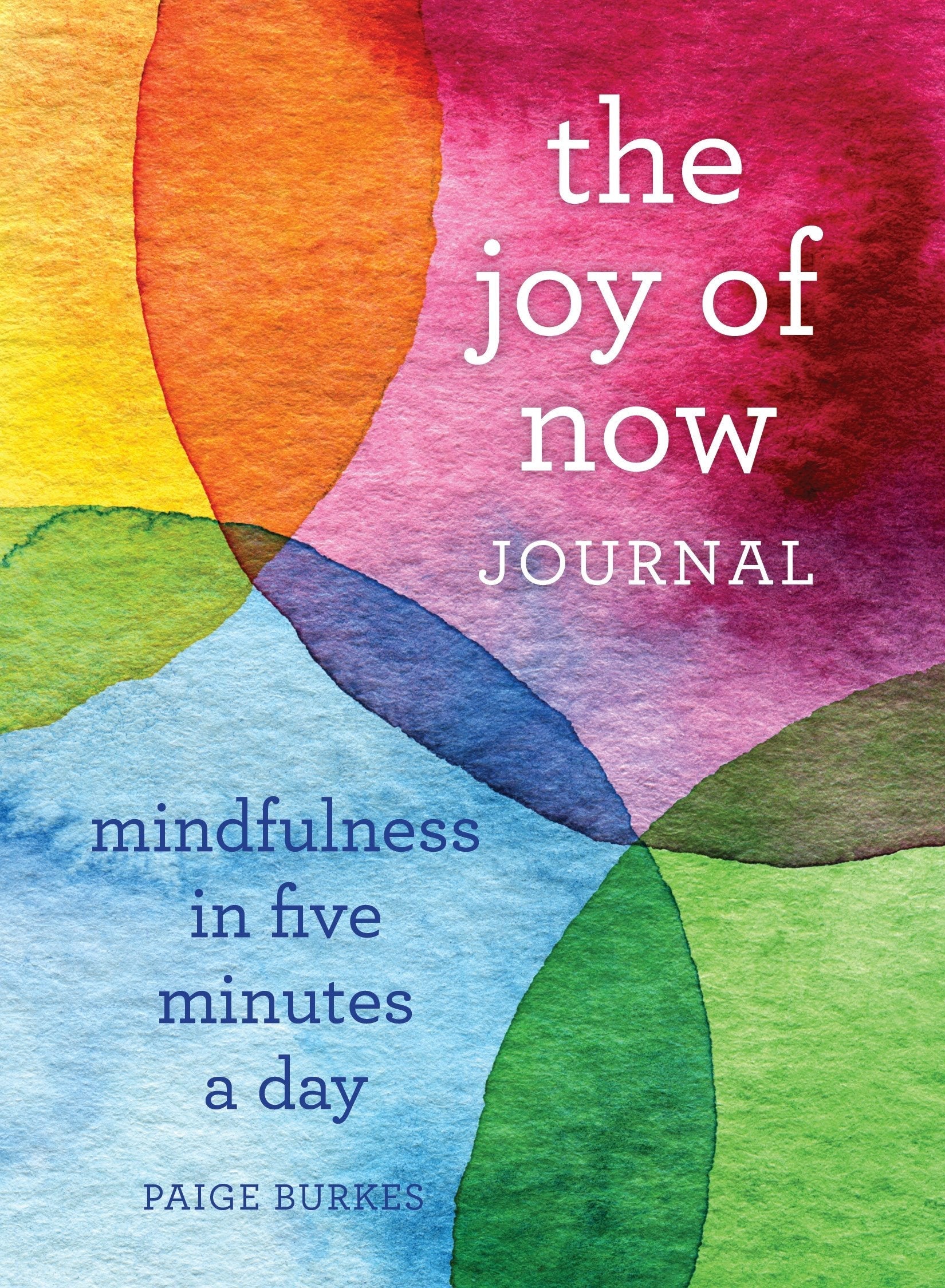 The Joy of Now Journal: Mindfulness in Five Minutes a Day used book depot