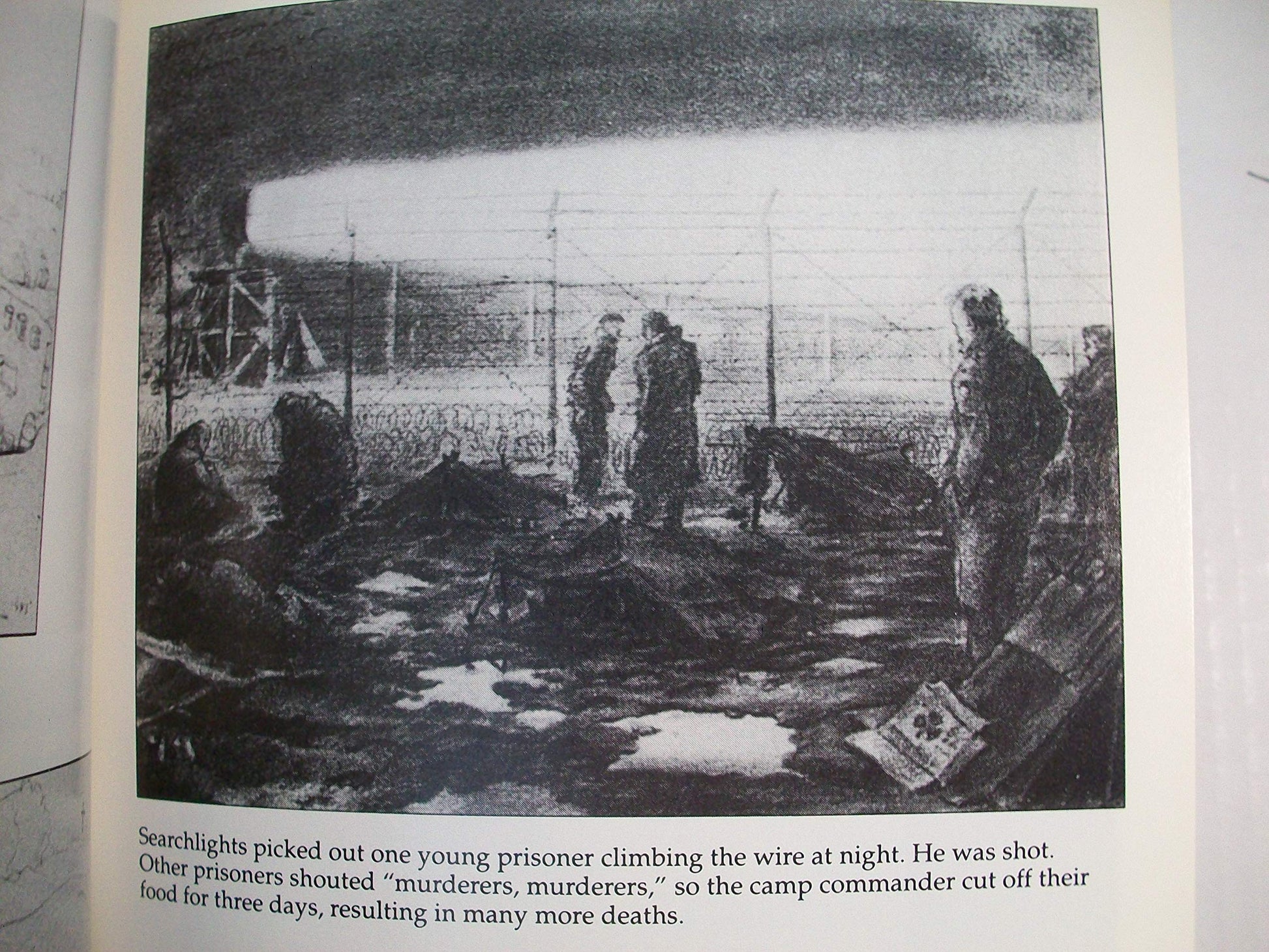 OTHER LOSSES: The Shocking Truth Behind the Mass Deaths of Disarmed German Soldiers and Civilians Under General Eisenhower's Command used book depot