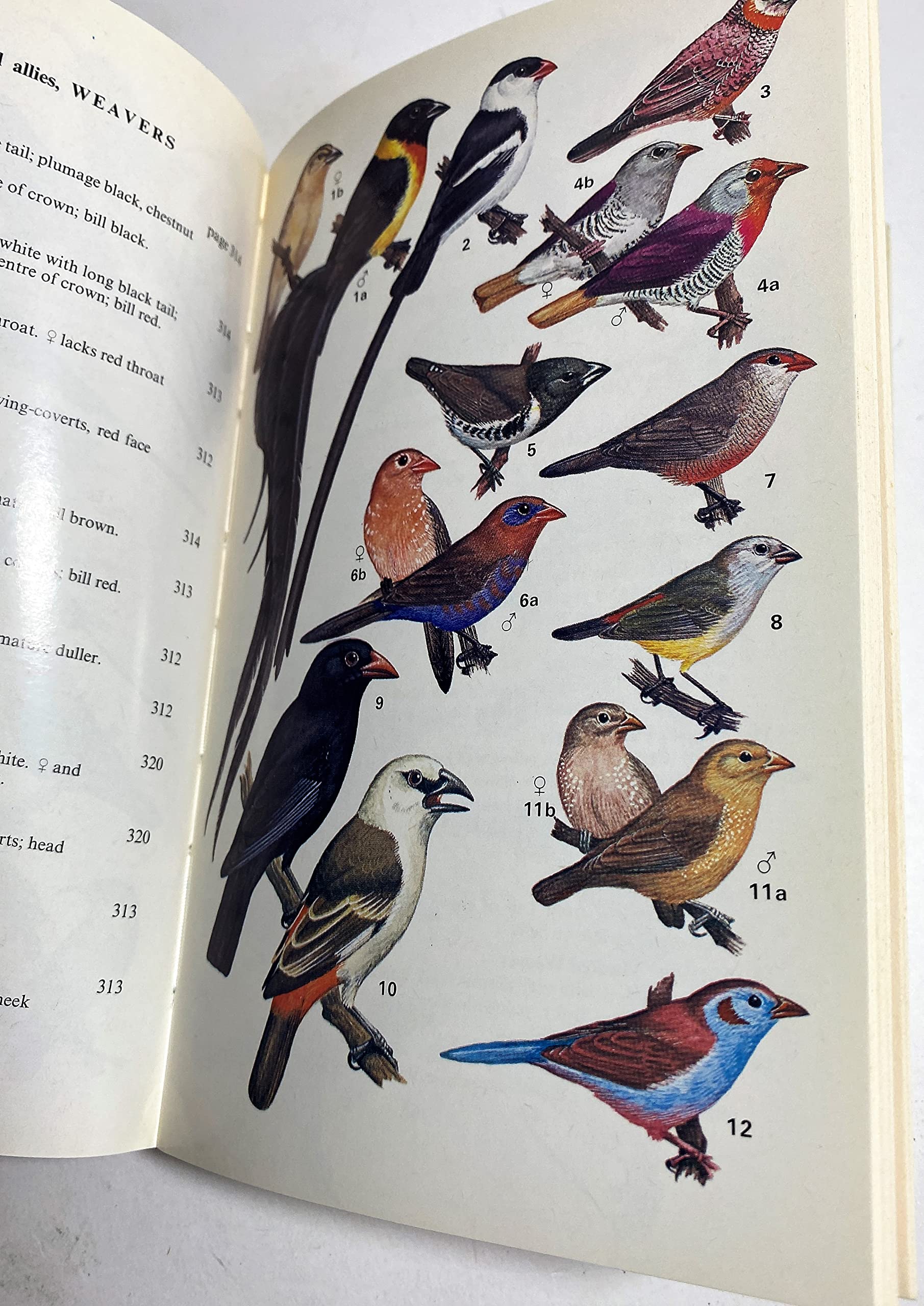 National Parks of East Africa (Collins Field Guides) used book depot