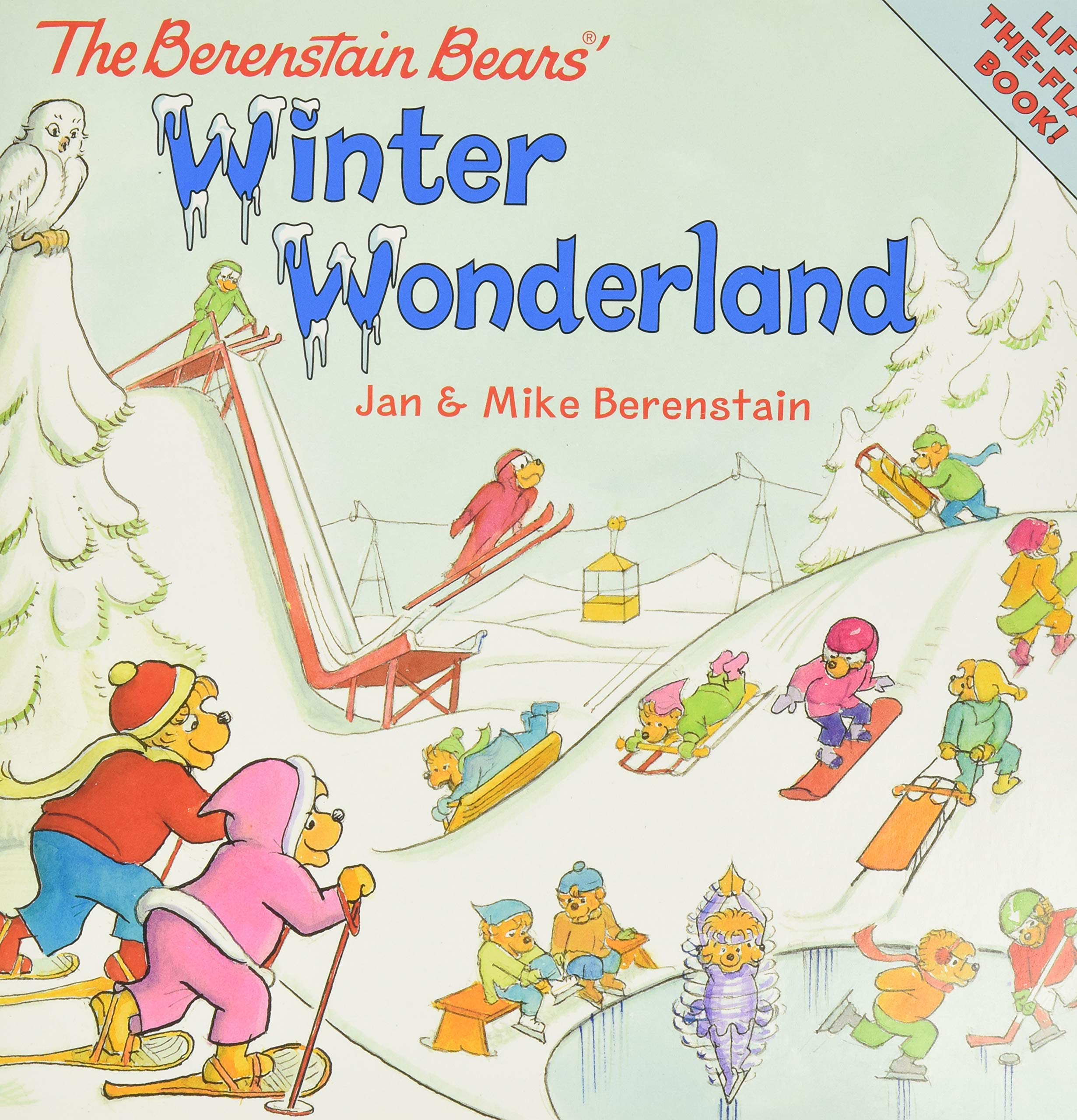 The Berenstain Bears' Winter Wonderland: A Winter and Holiday Book for Kids used book depot
