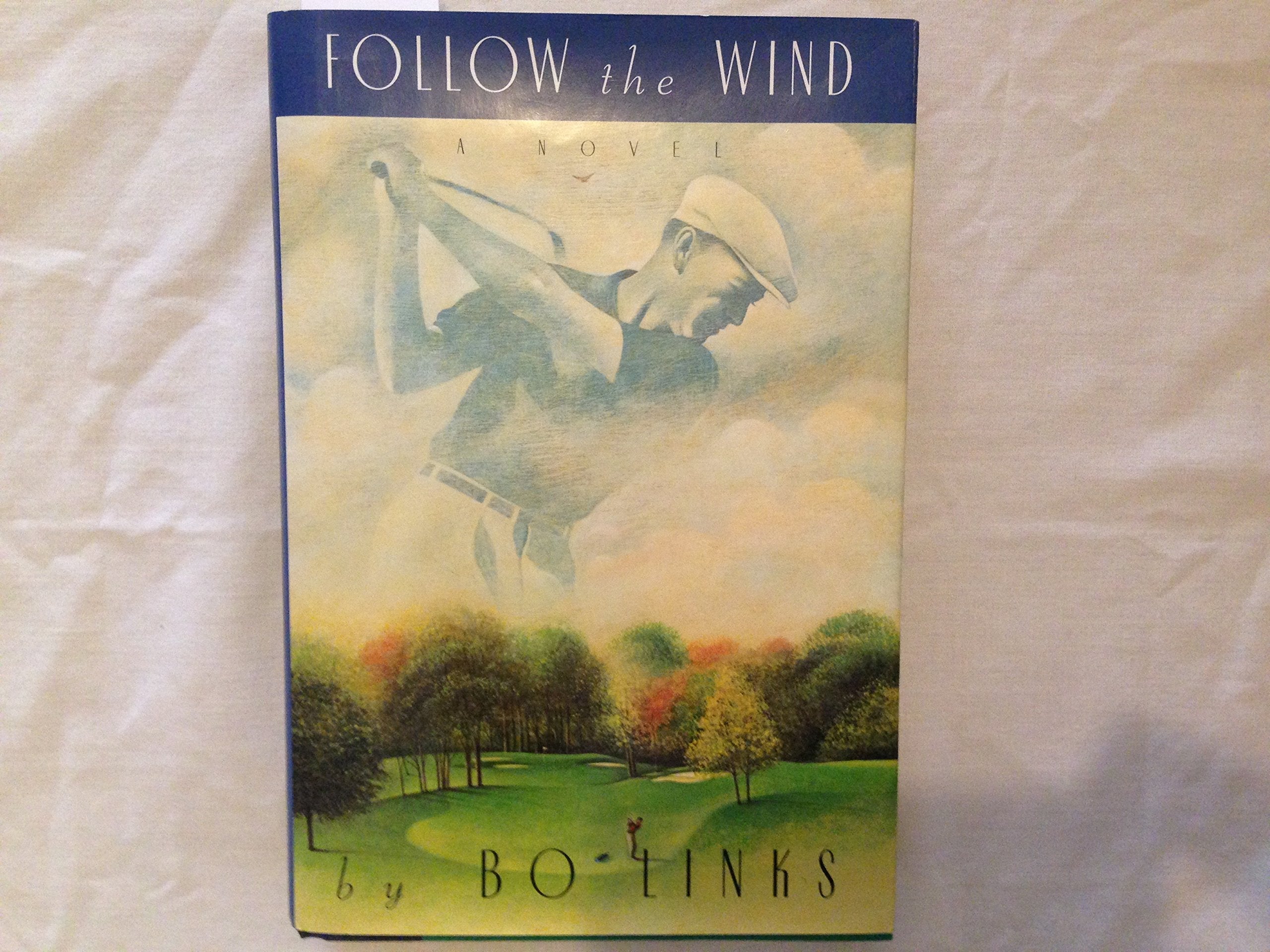 Follow the Wind: A Novel used book depot