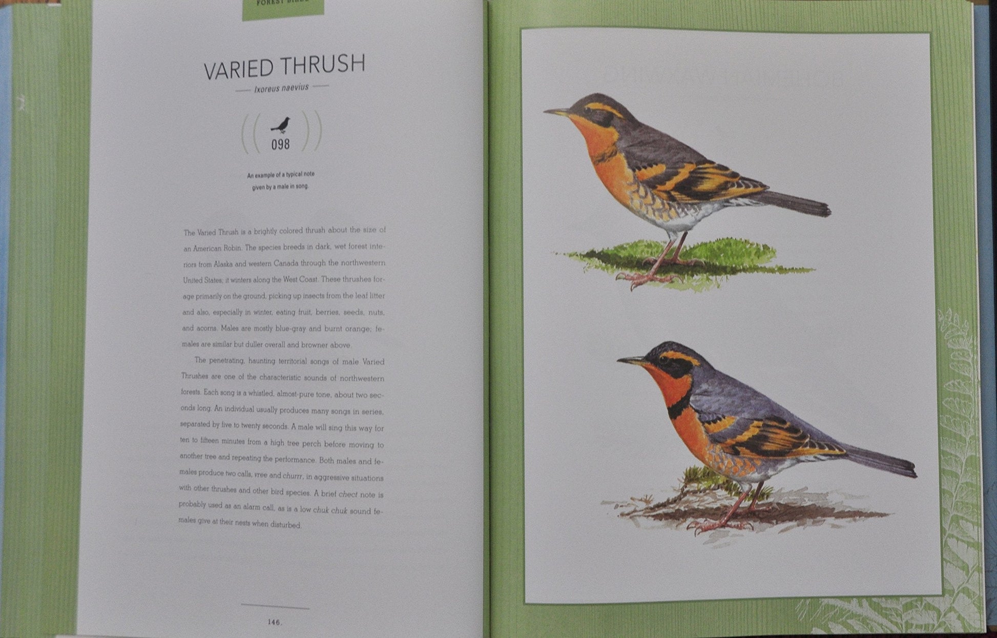 Bird Songs: 250 North American Birds in Song used book depot