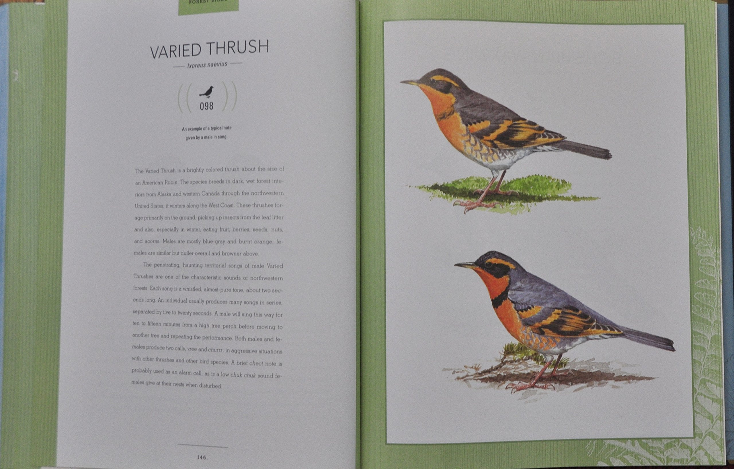 Bird Songs: 250 North American Birds in Song used book depot