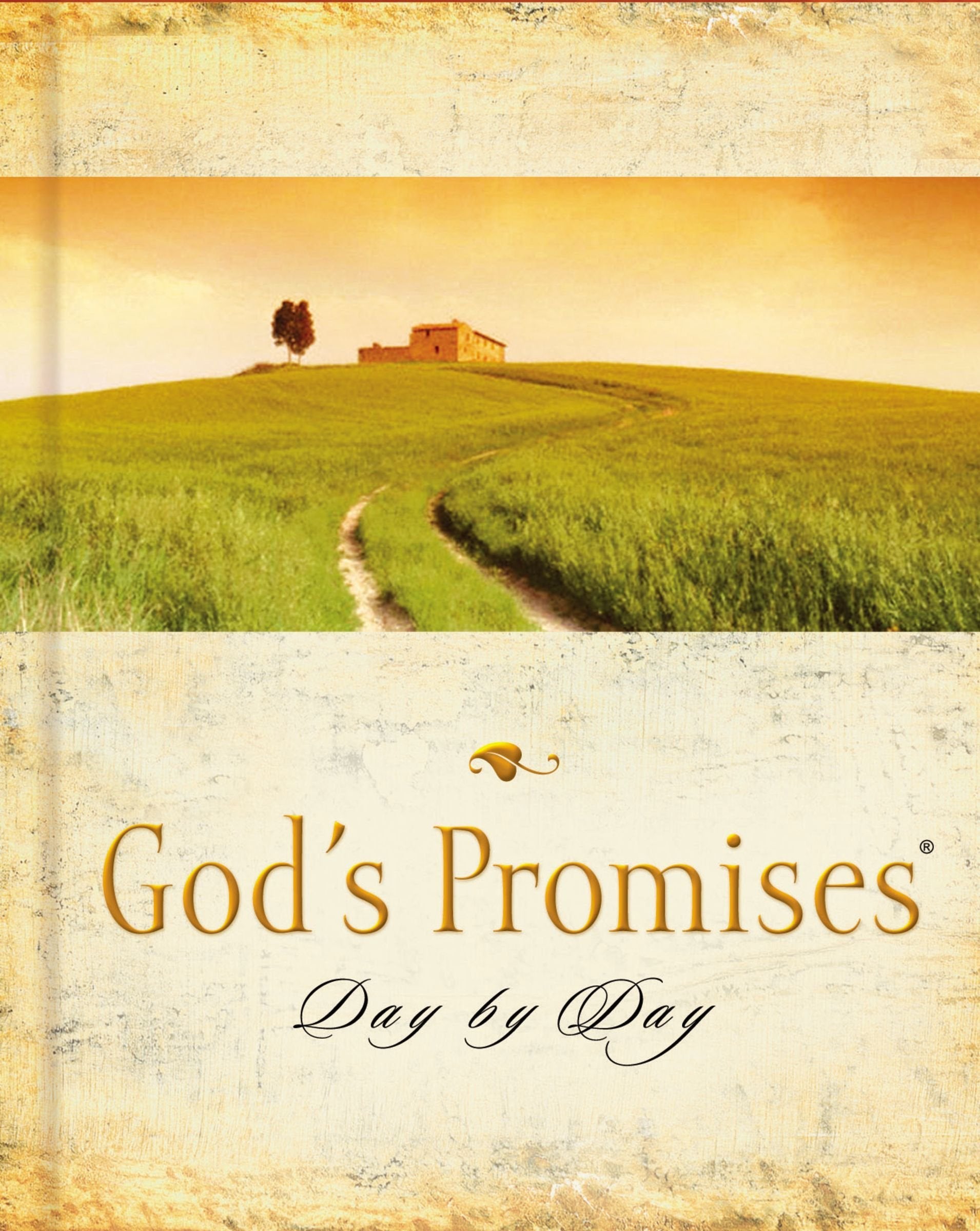 Gods Promises Day by Day used book depot