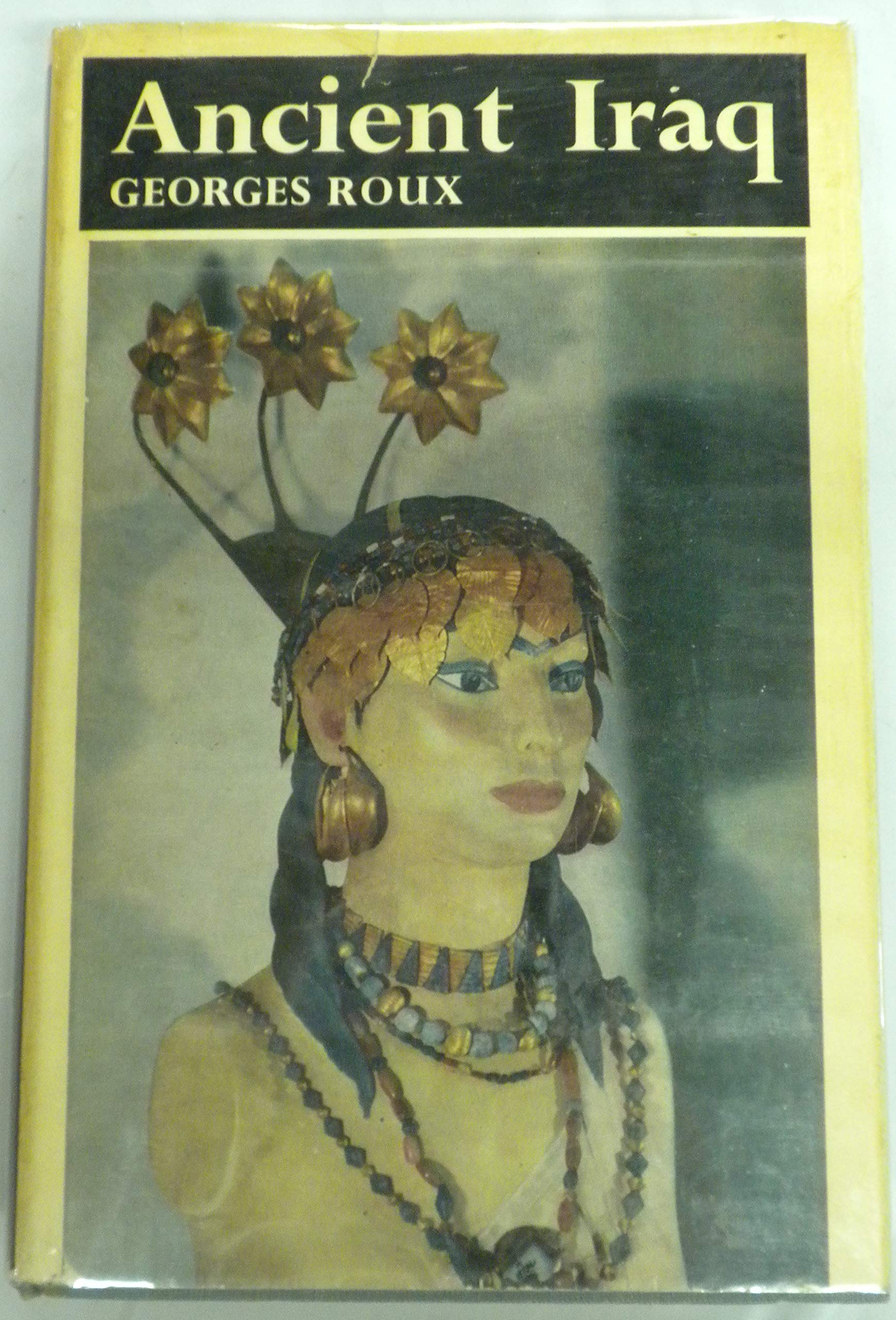 Ancient Iraq used book depot