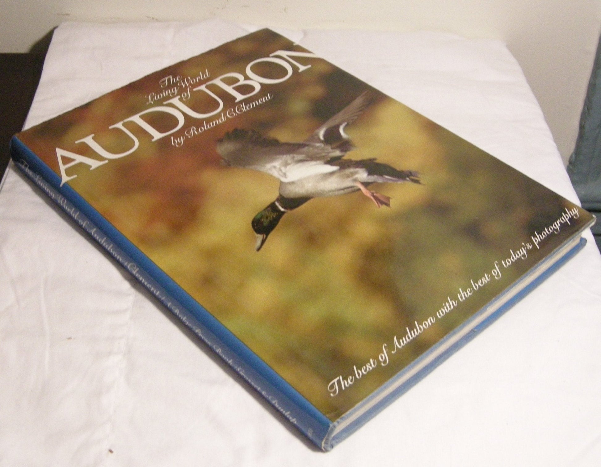 The living world of Audubon used book depot
