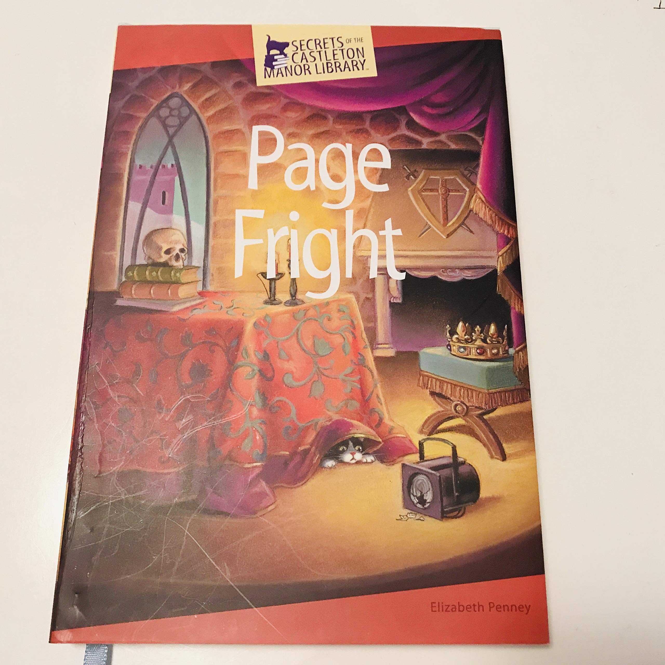 Page Fright; Secrets of the Castleton Manor Library used book depot