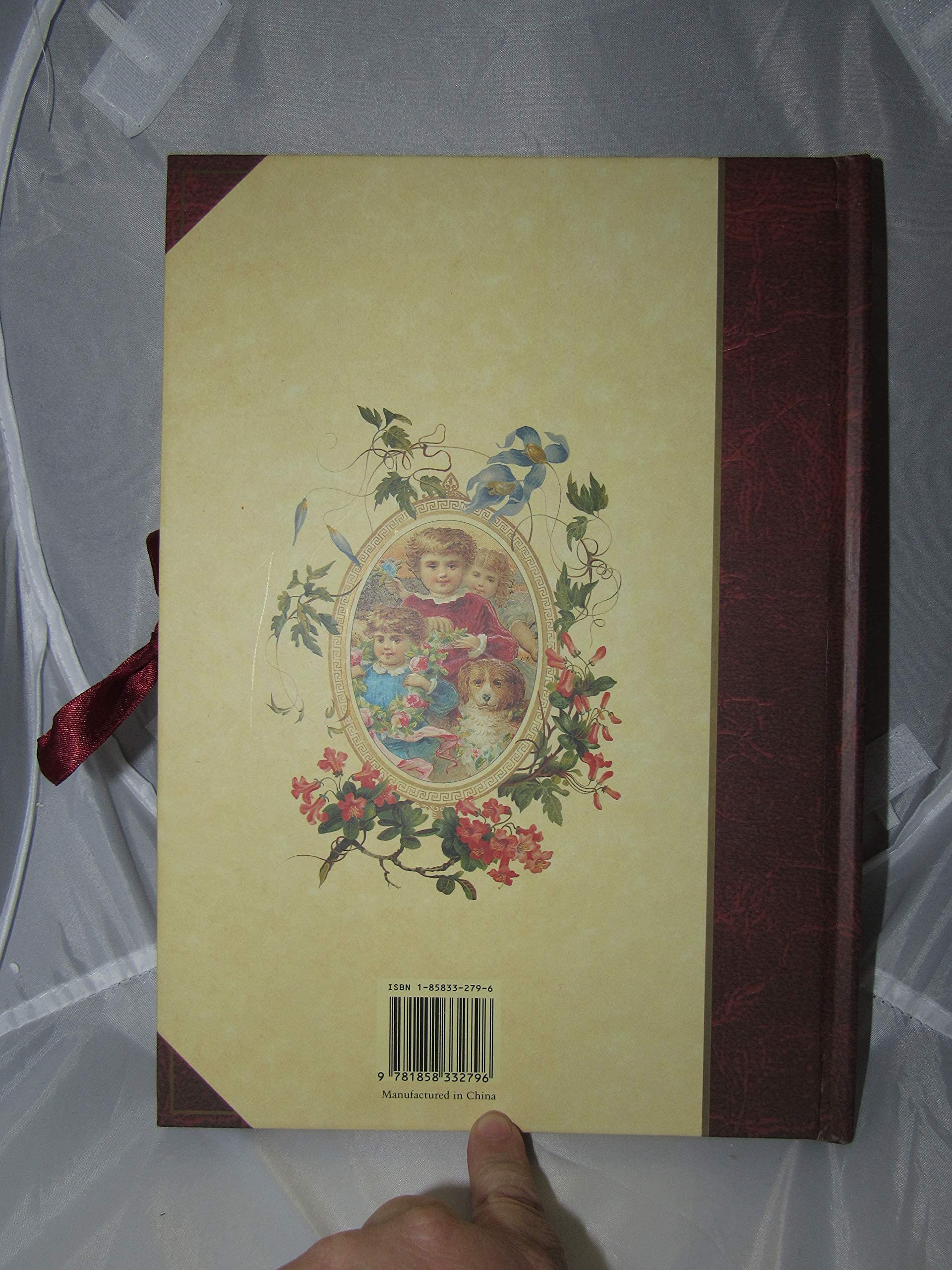 The Victorian Photograph Album: Large used book depot