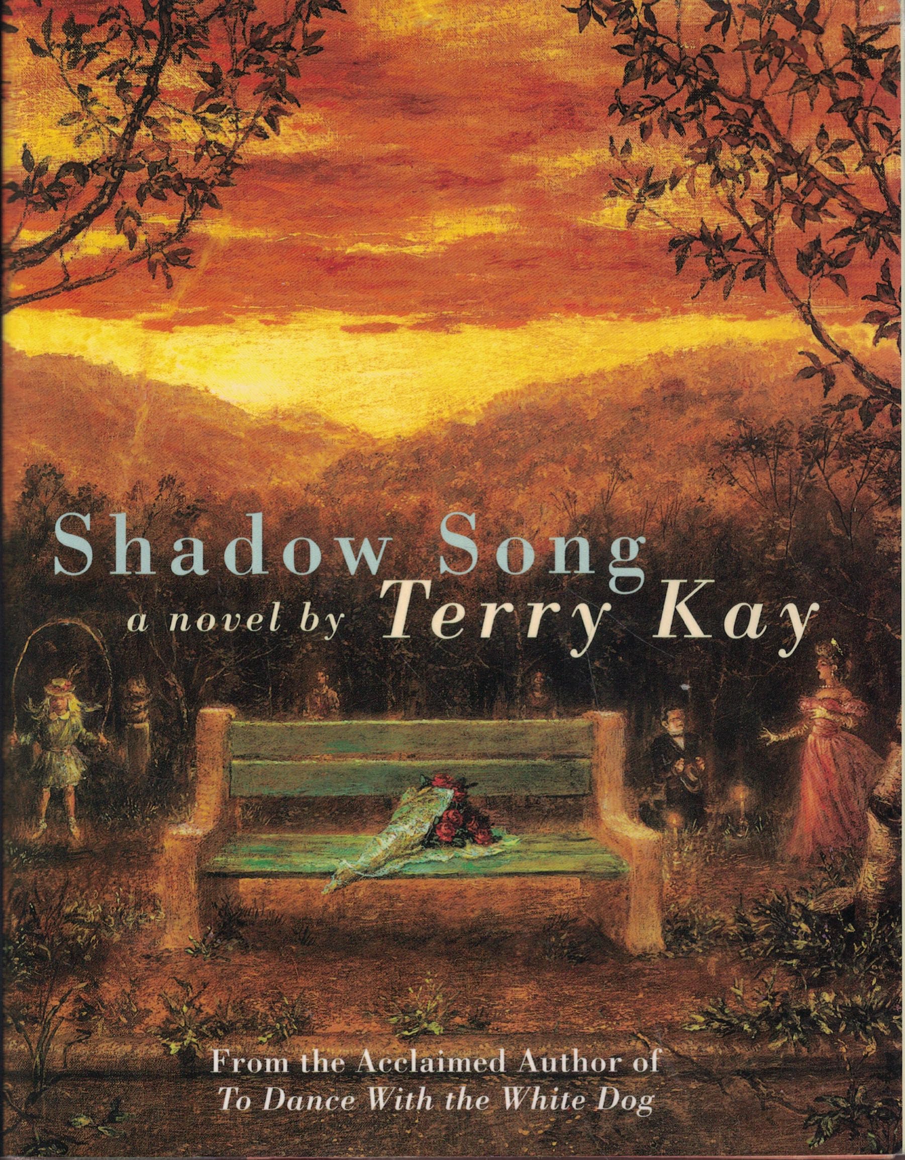 Shadow Song used book depot