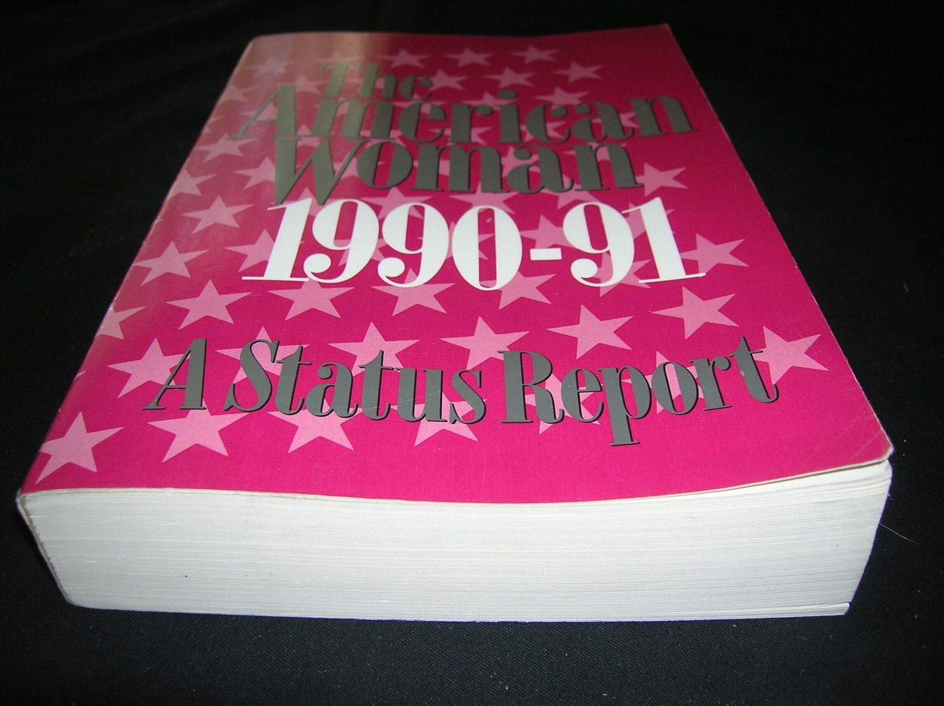 The American Woman, 1990-91: A Status Report used book depot