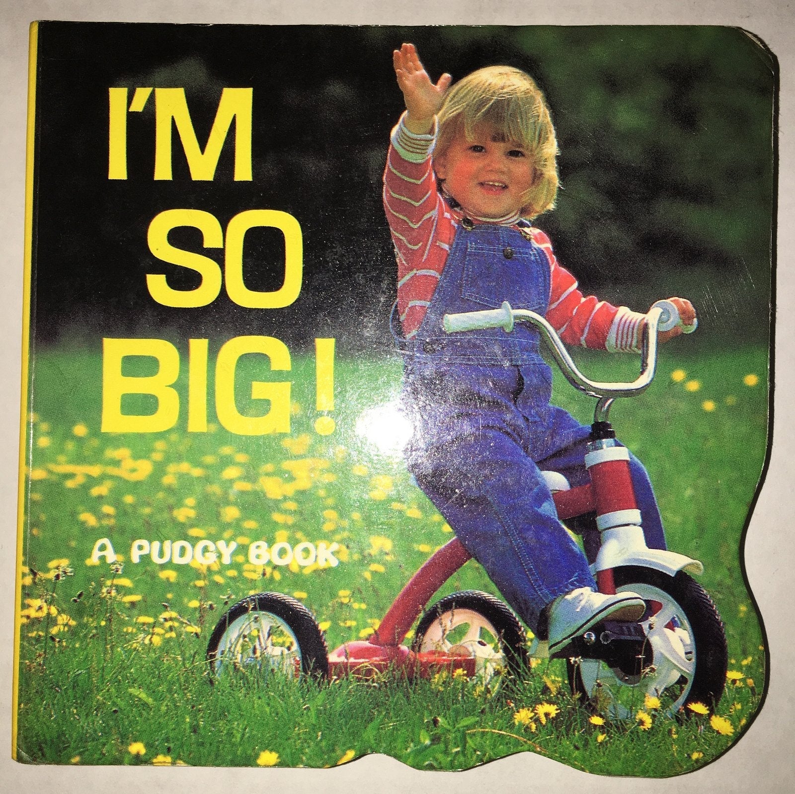 I'm So Big (Pudgy Board Book) used book depot