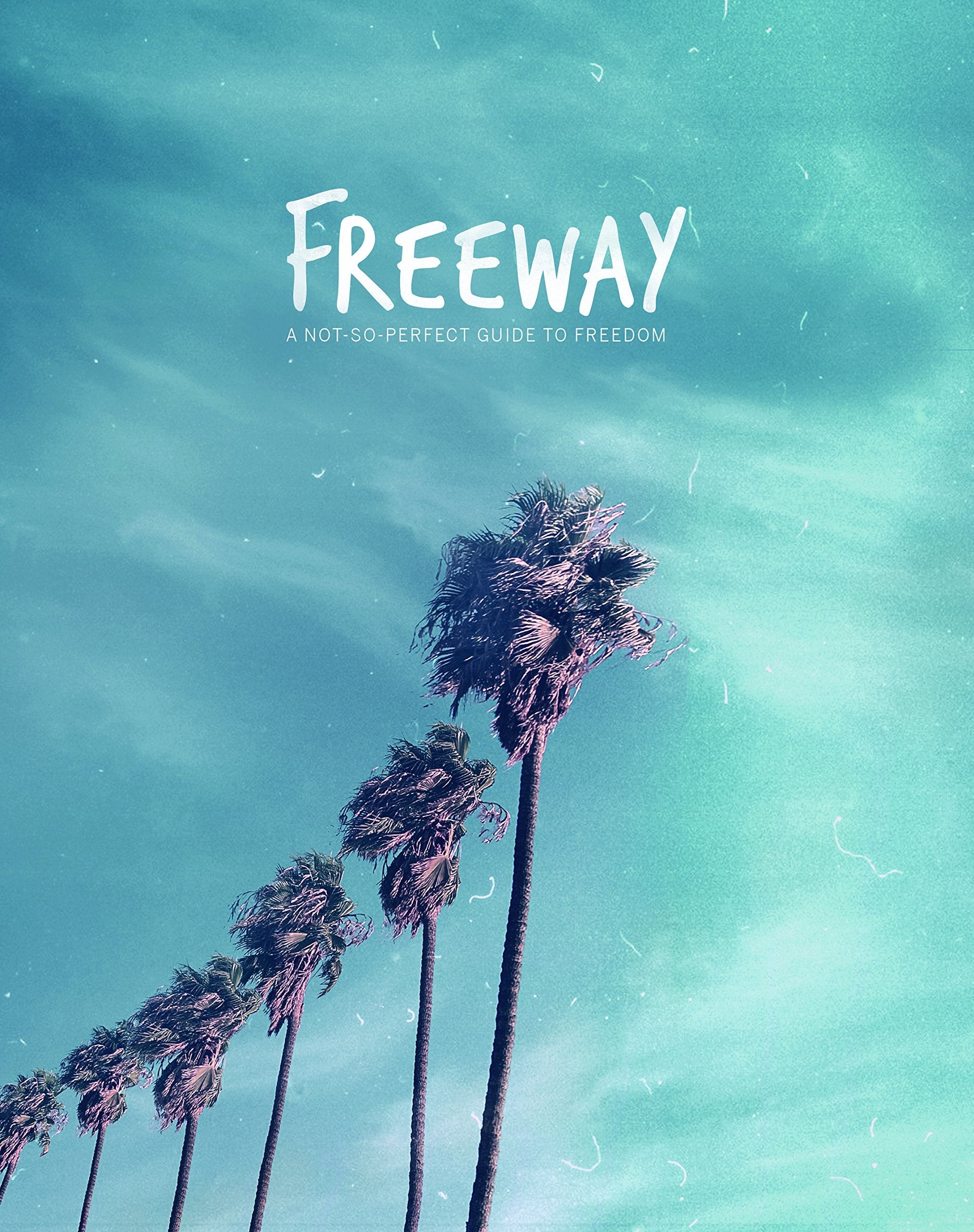 Freeway: A Not-So-Perfect Guide to Freedom used book depot