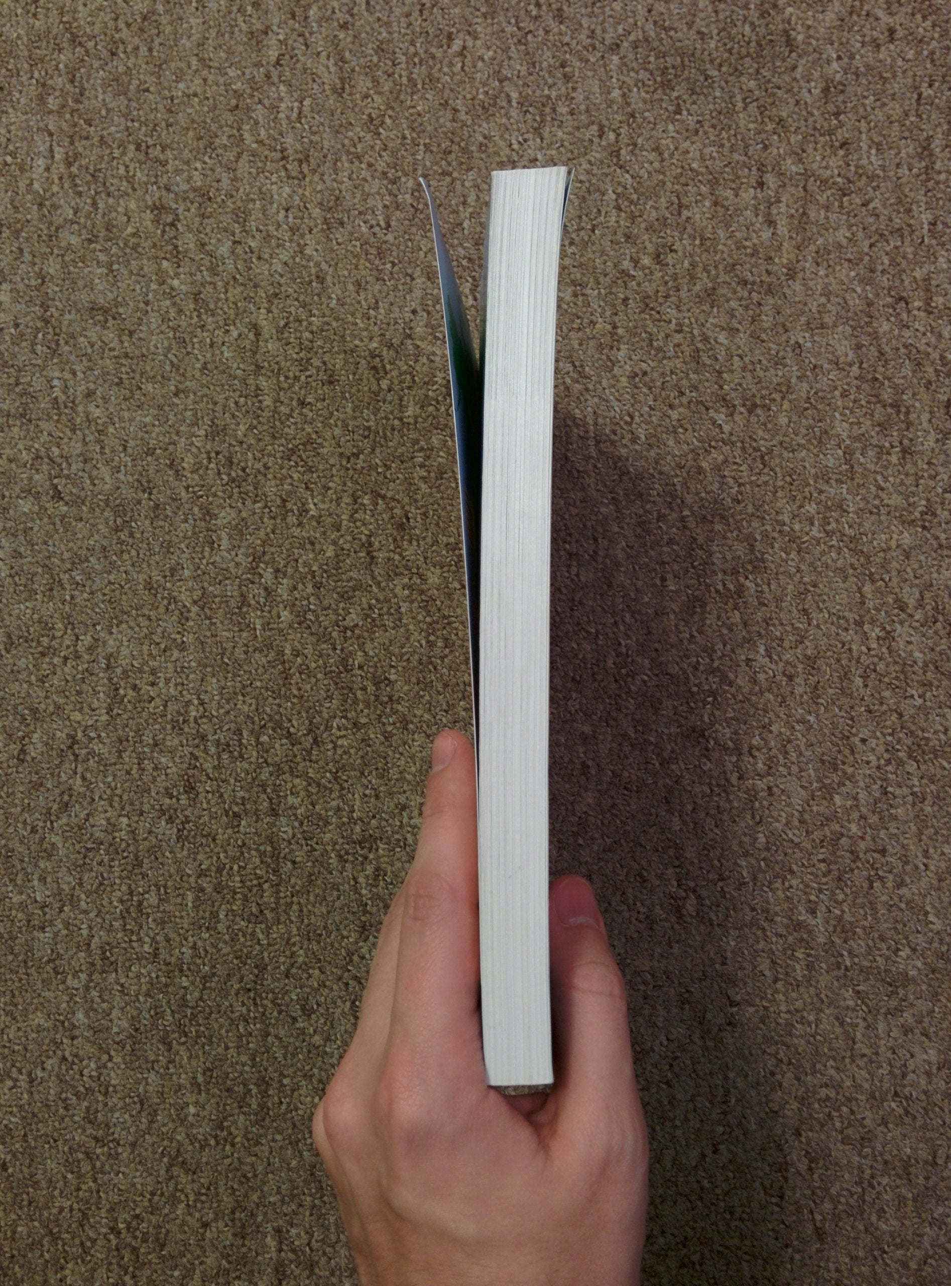 International Macroeconomics used book depot