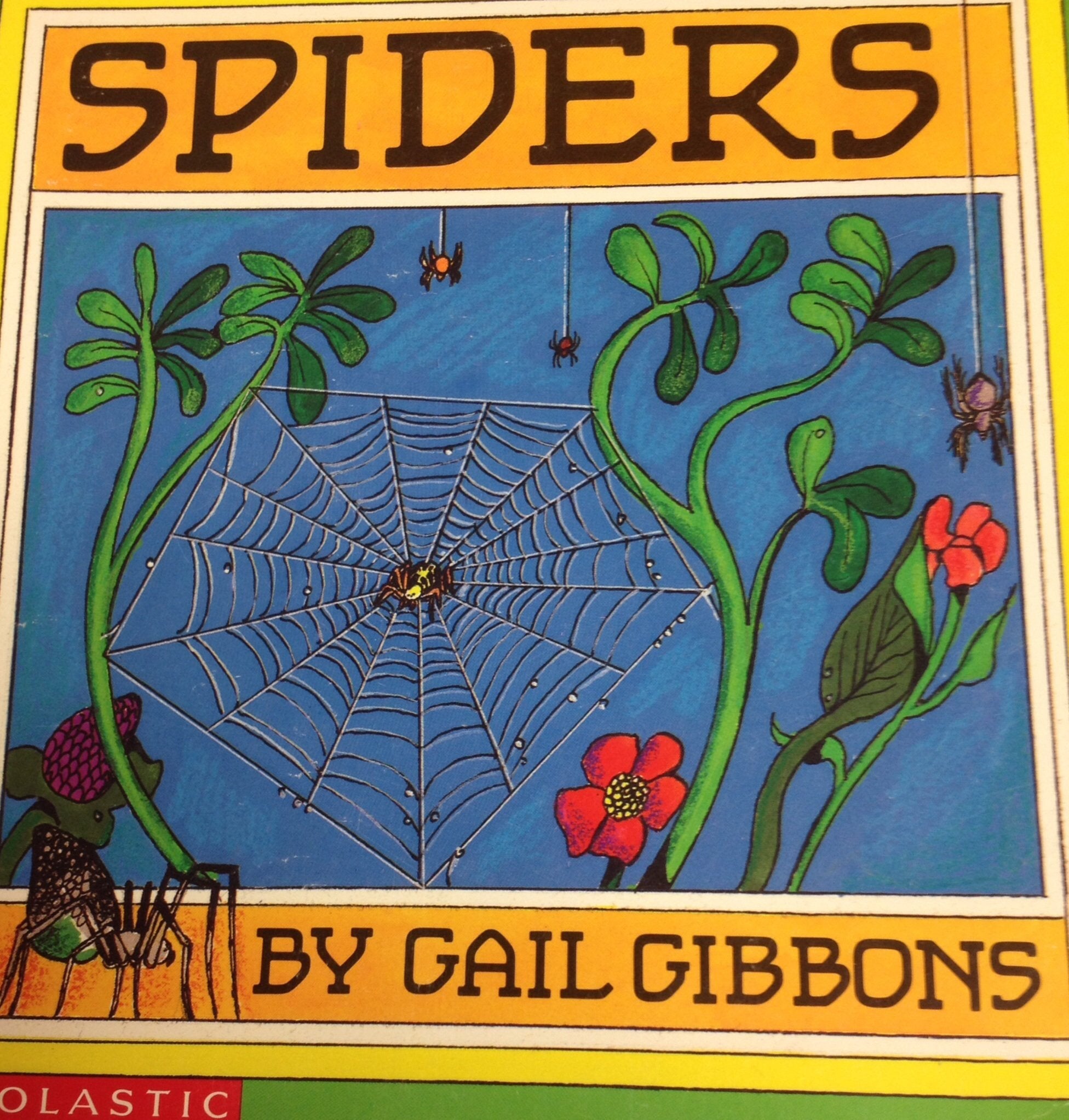 Spiders used book depot