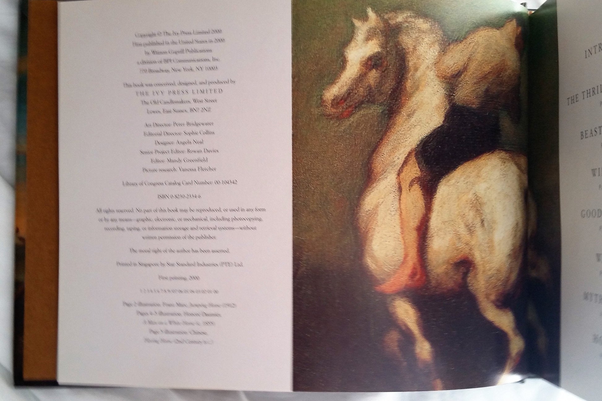 Horse: From Noble Steeds to Beasts of Burden used book depot