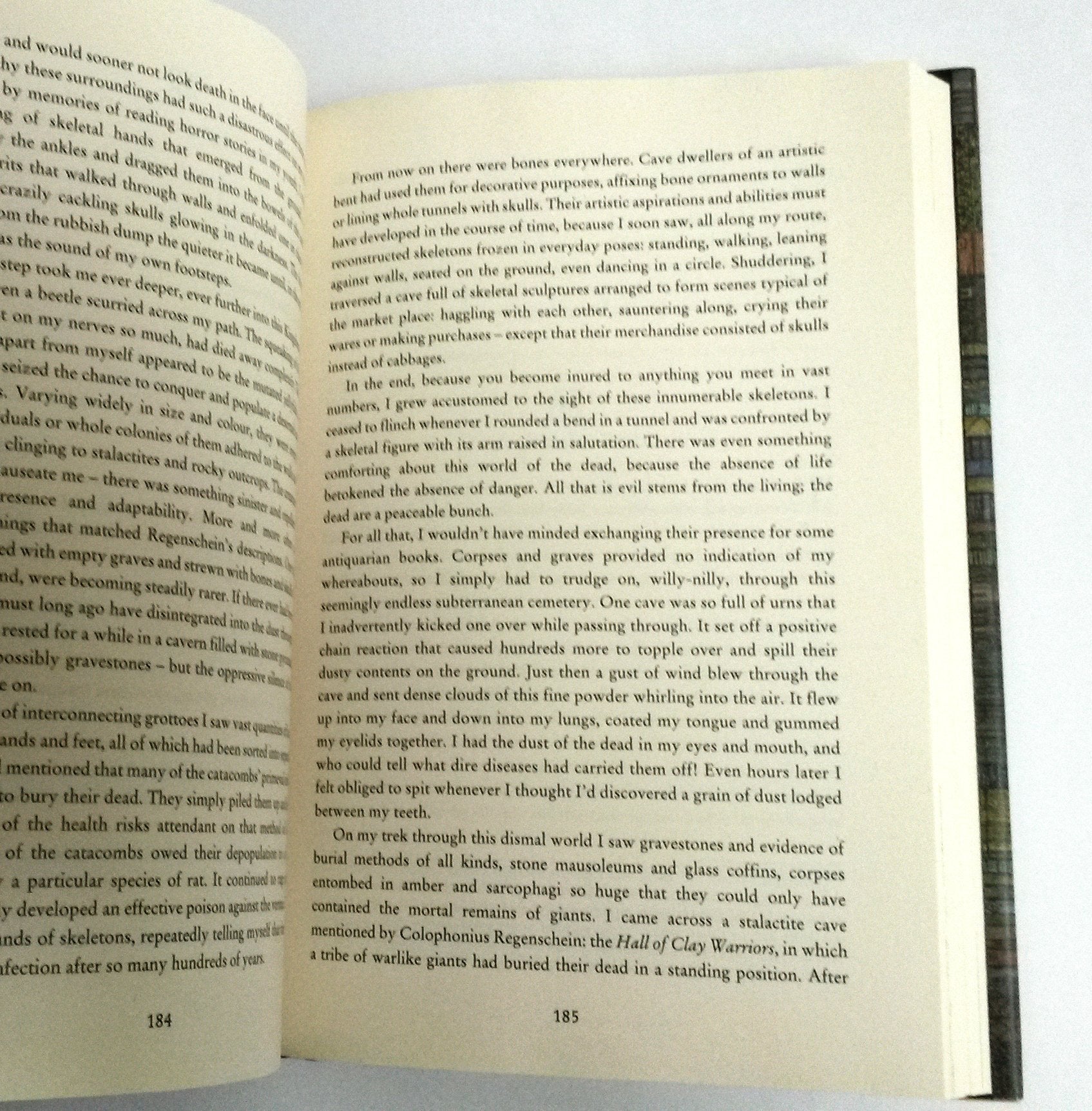 City of Dreaming Books (Zamonia) (Volume 3) used book depot