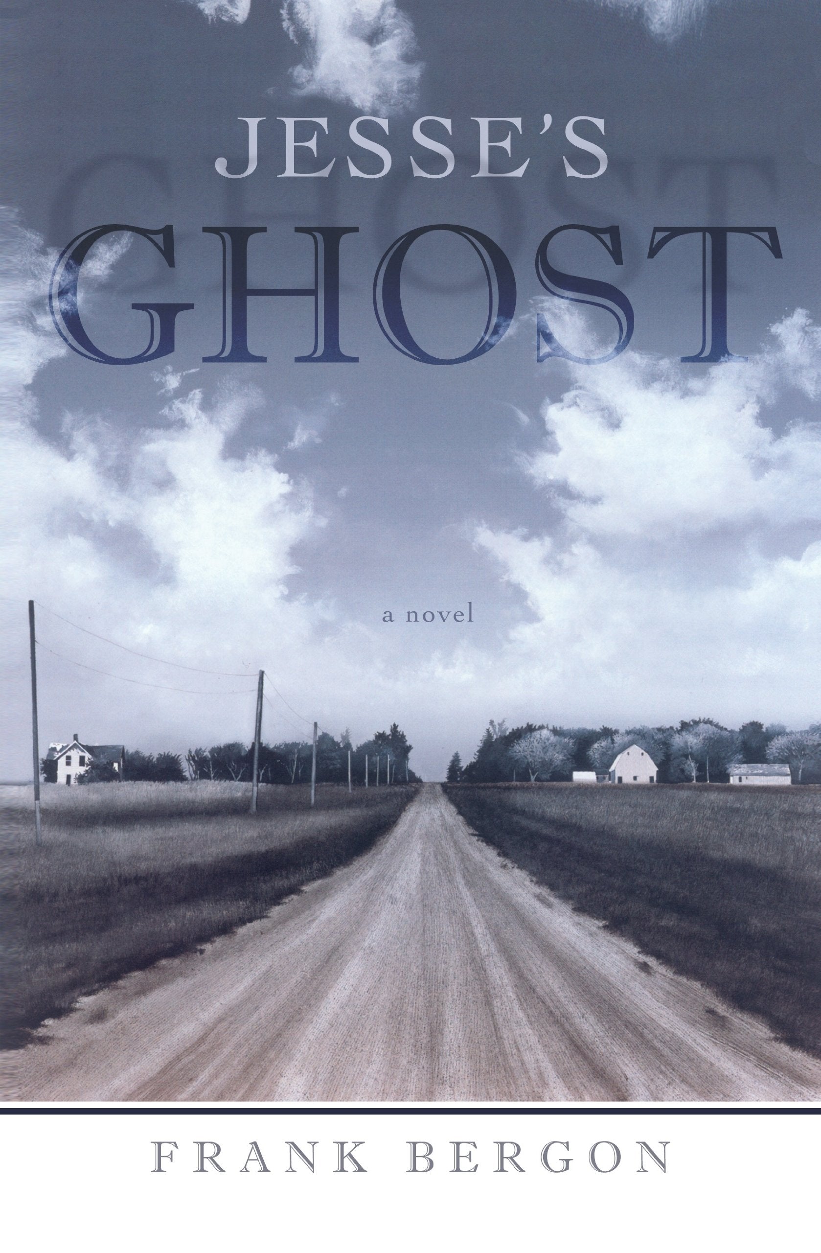 Jesse's Ghost: A Novel used book depot
