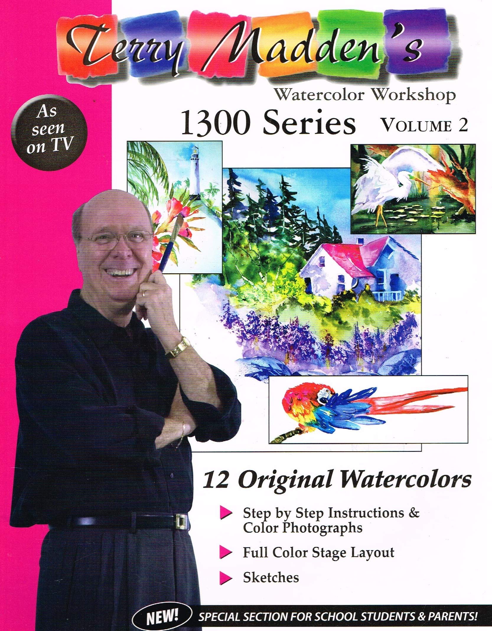 Terry Madden's Watercolor Workshop: 1300 series, Volume 2 used book depot
