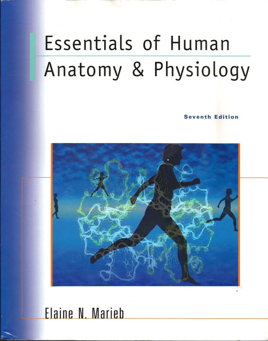 Essentials of Human Anatomy  Physiology Marieb