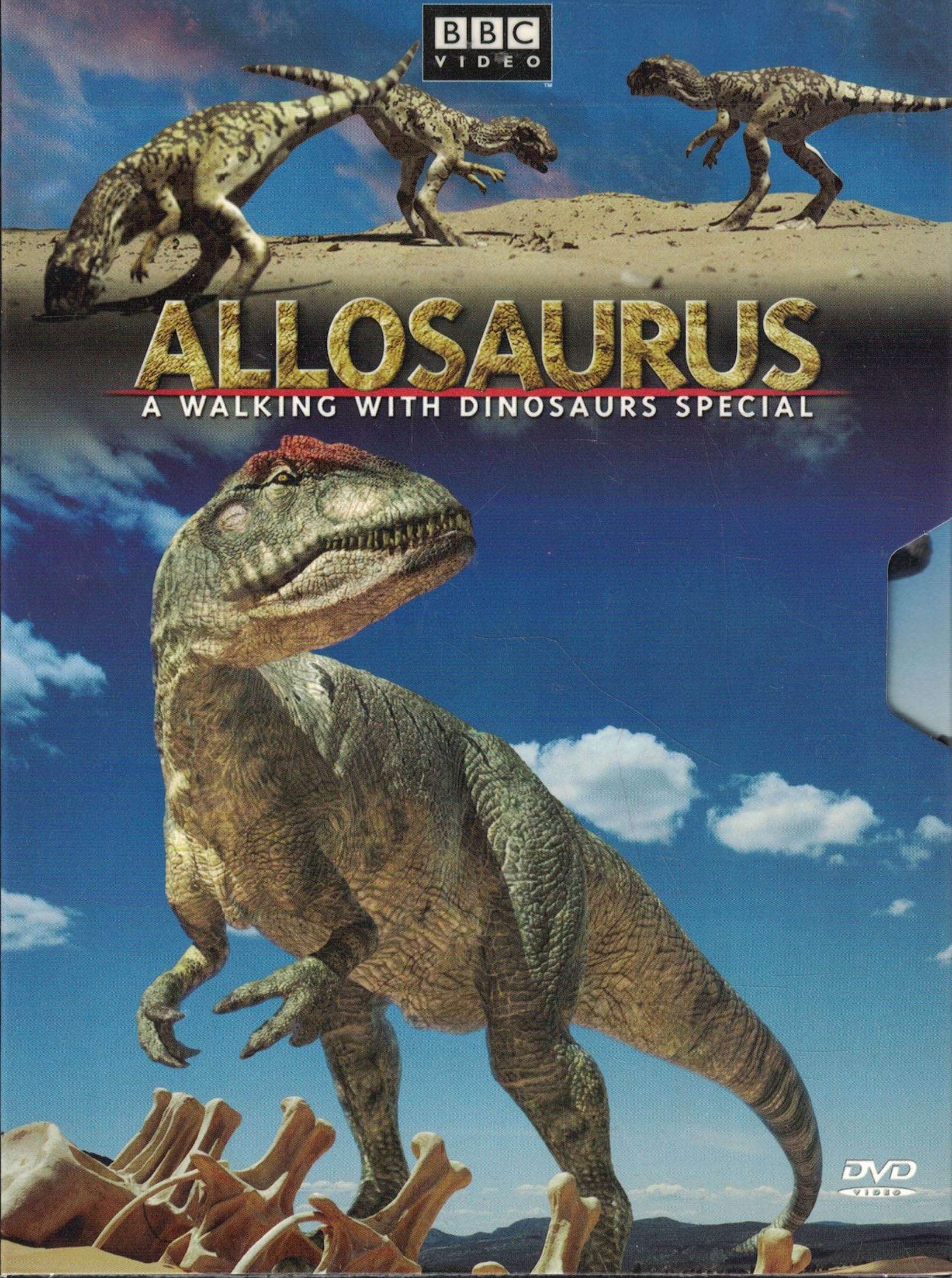 Allosaurus: Walking with Dinosaurs Special [DVD] used book depot