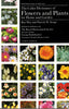Color Dictionary of Flowers and Plants for Home and Garden