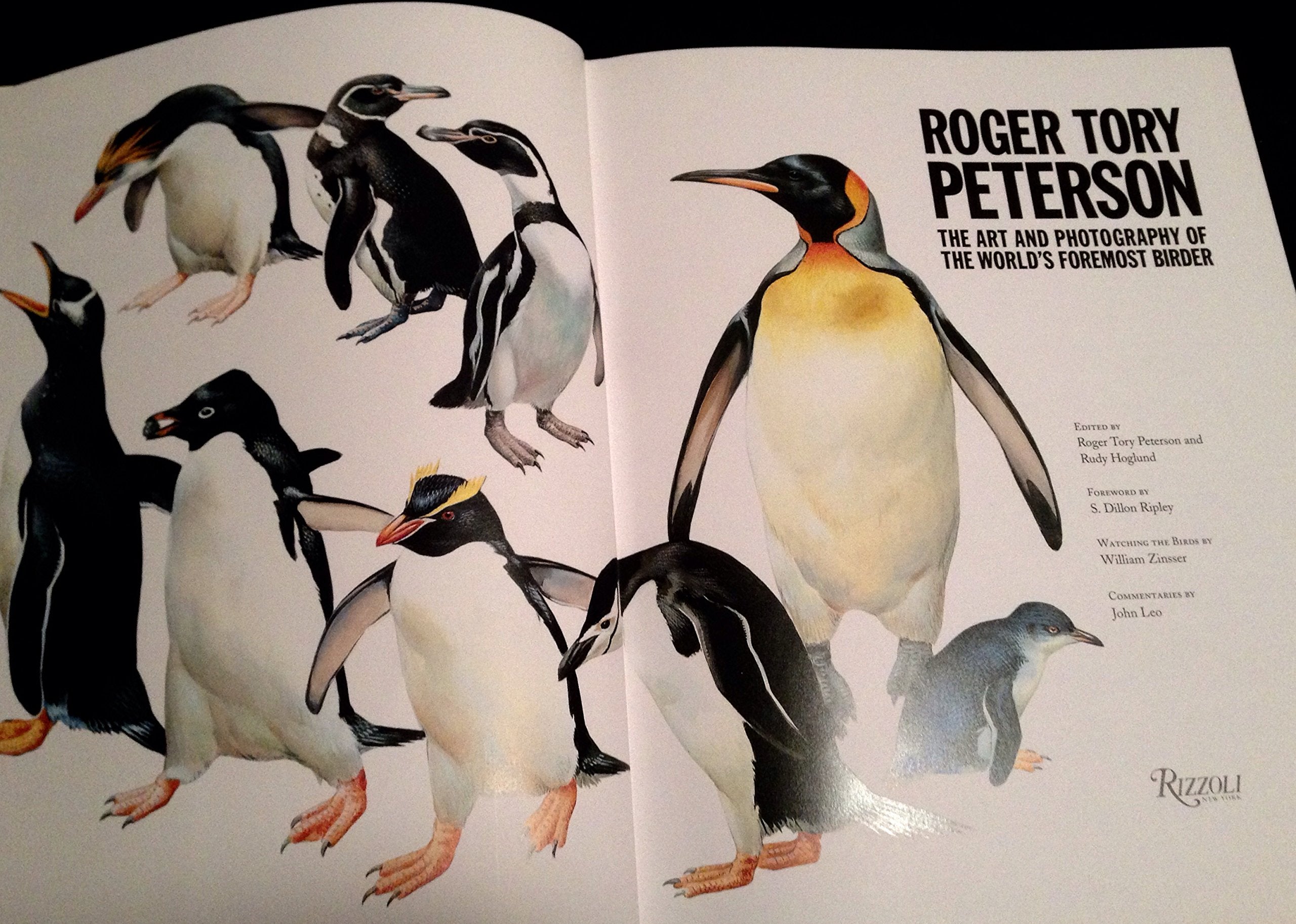 Roger Tory Peterson: The Art and Photography of the World's Foremost Birder used book depot