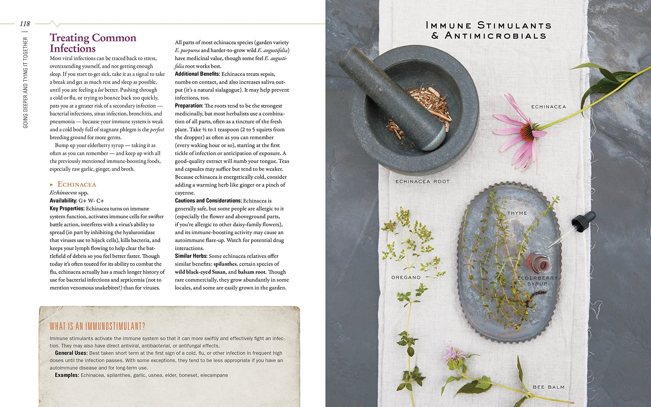 Body into Balance: An Herbal Guide to Holistic Self-Care used book depot