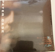 The Man with the Blue Postmodern Fragmented Neo-Traditionalist Guitar used book depot