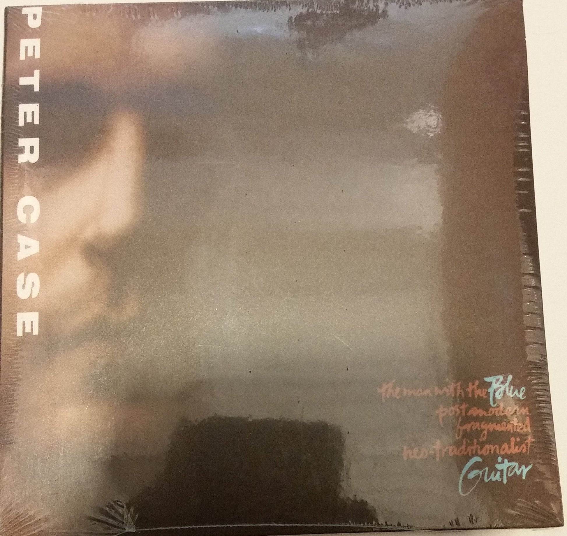 The Man with the Blue Postmodern Fragmented Neo-Traditionalist Guitar used book depot