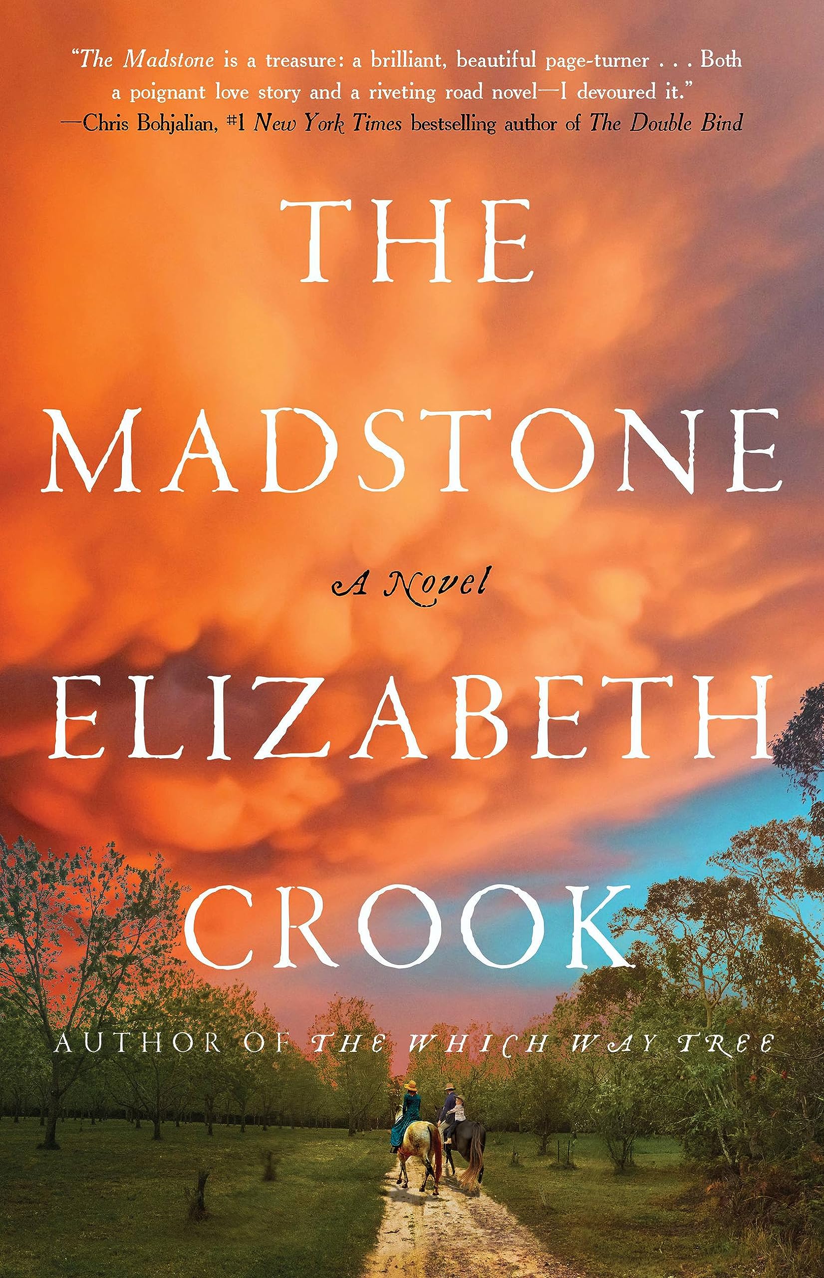 The Madstone: A Novel used book depot