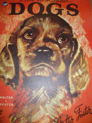 Walter Foster How to Draw Dogs Art Book used book depot