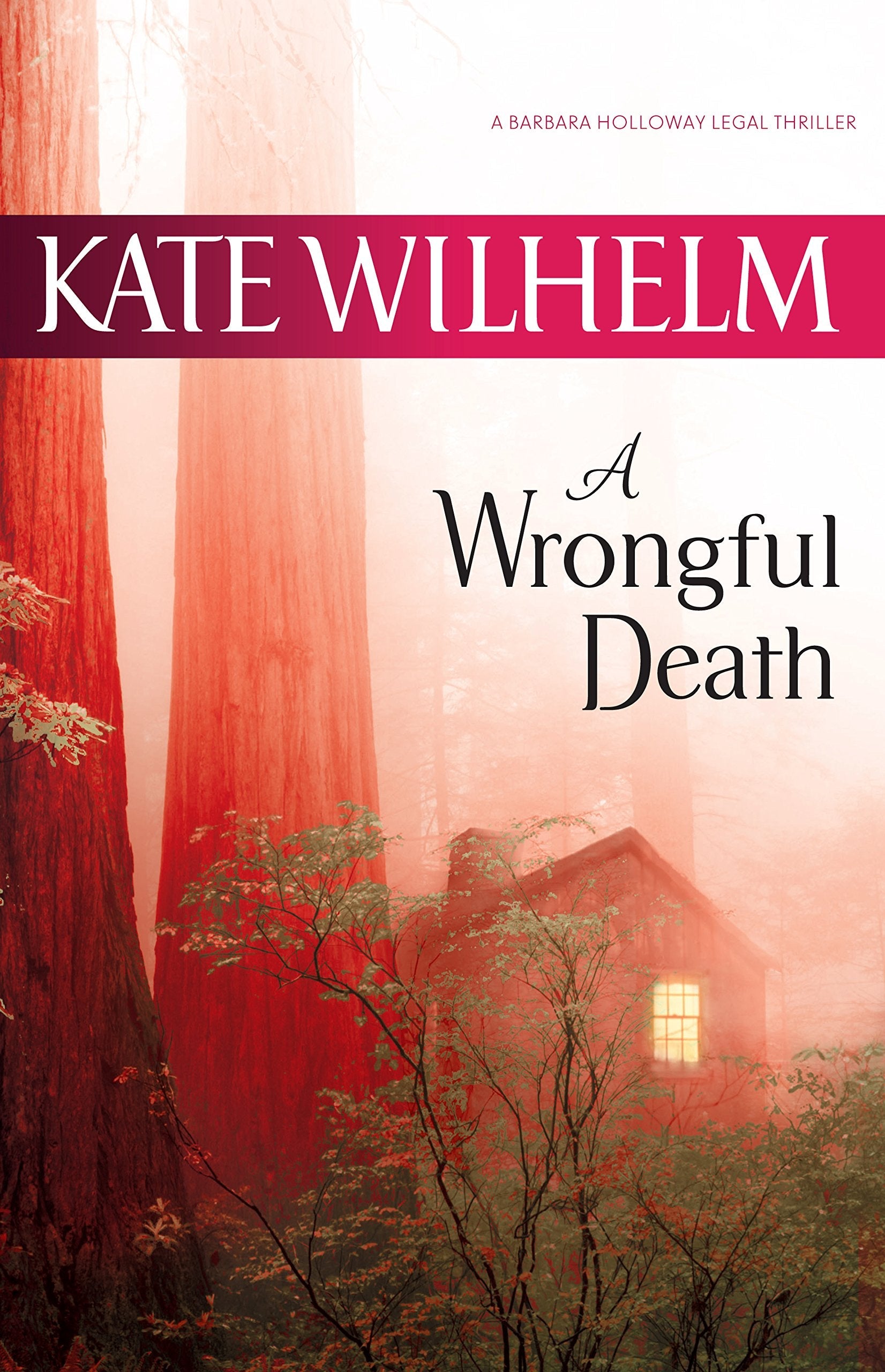 A Wrongful Death (A Barbara Holloway Novel, 4) used book depot