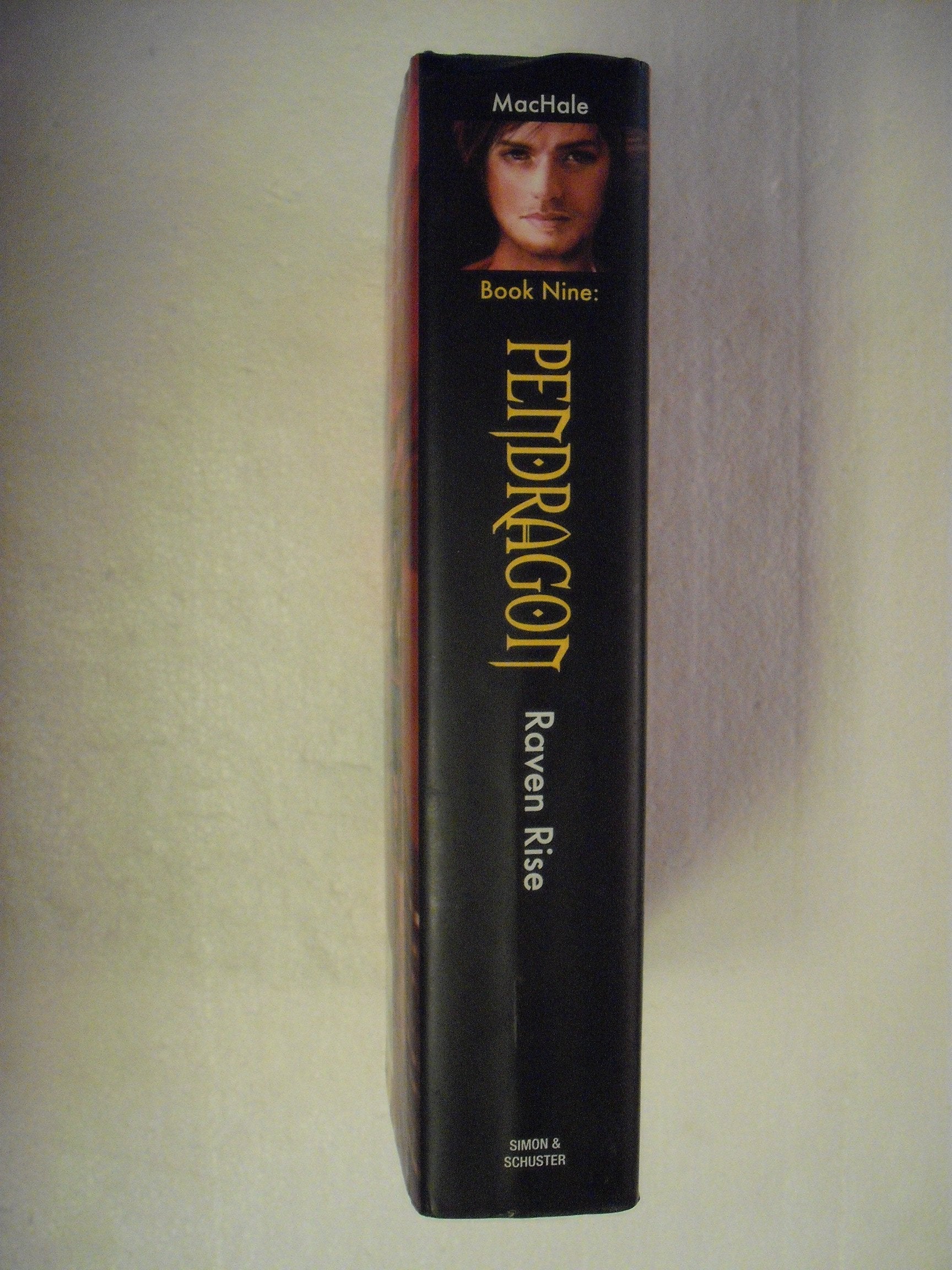 Raven Rise (9) (Pendragon) used book depot