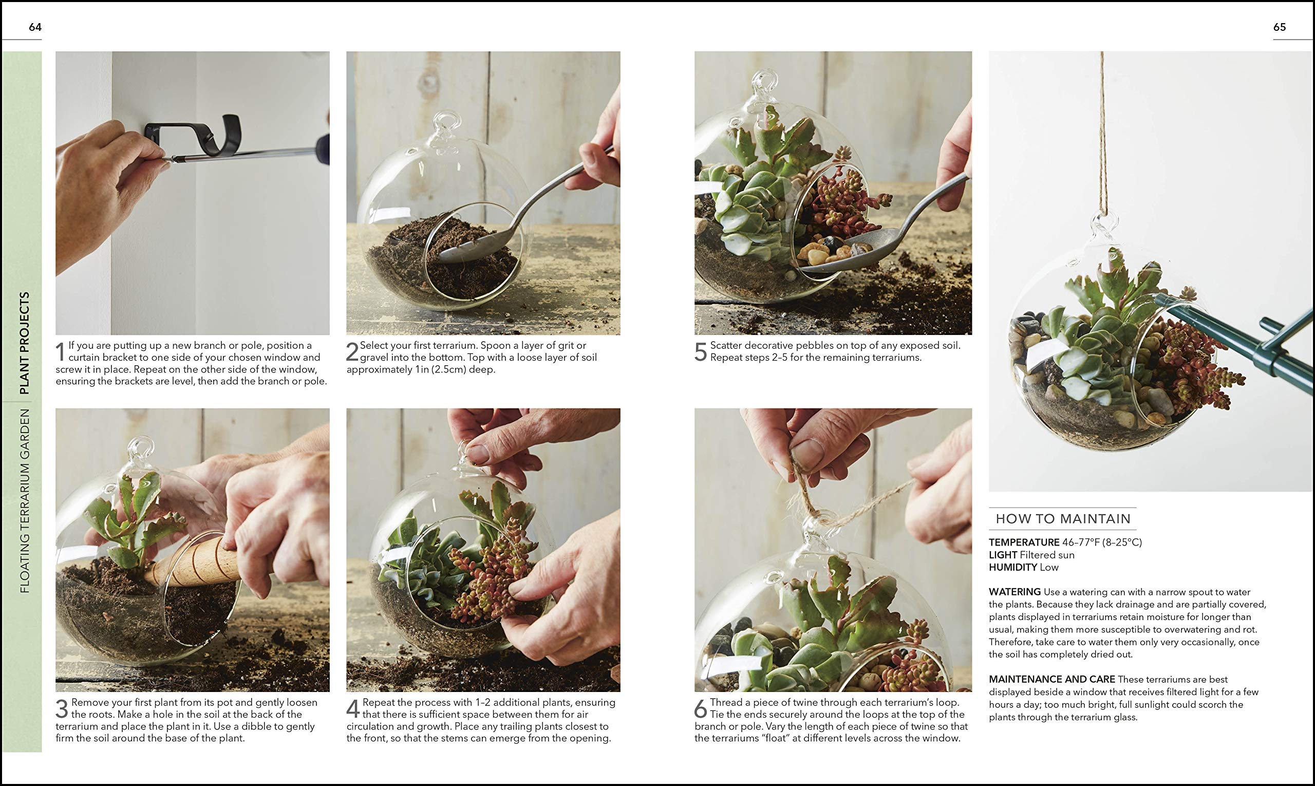 Practical Cactus and Succulent Book: The Definitive Guide to Choosing, Displaying, and Caring for more than 200 Cacti used book depot