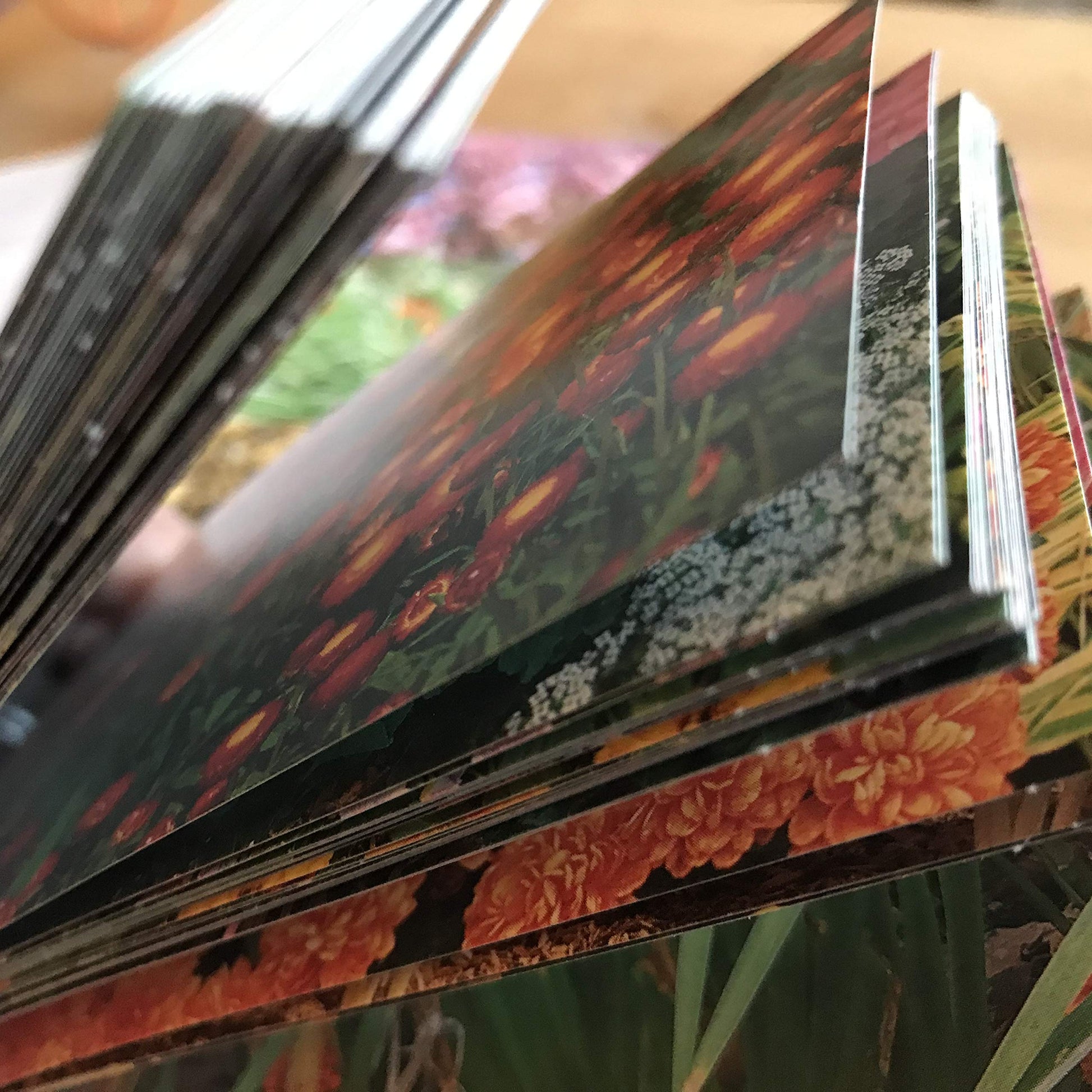 The Garden Planner used book depot
