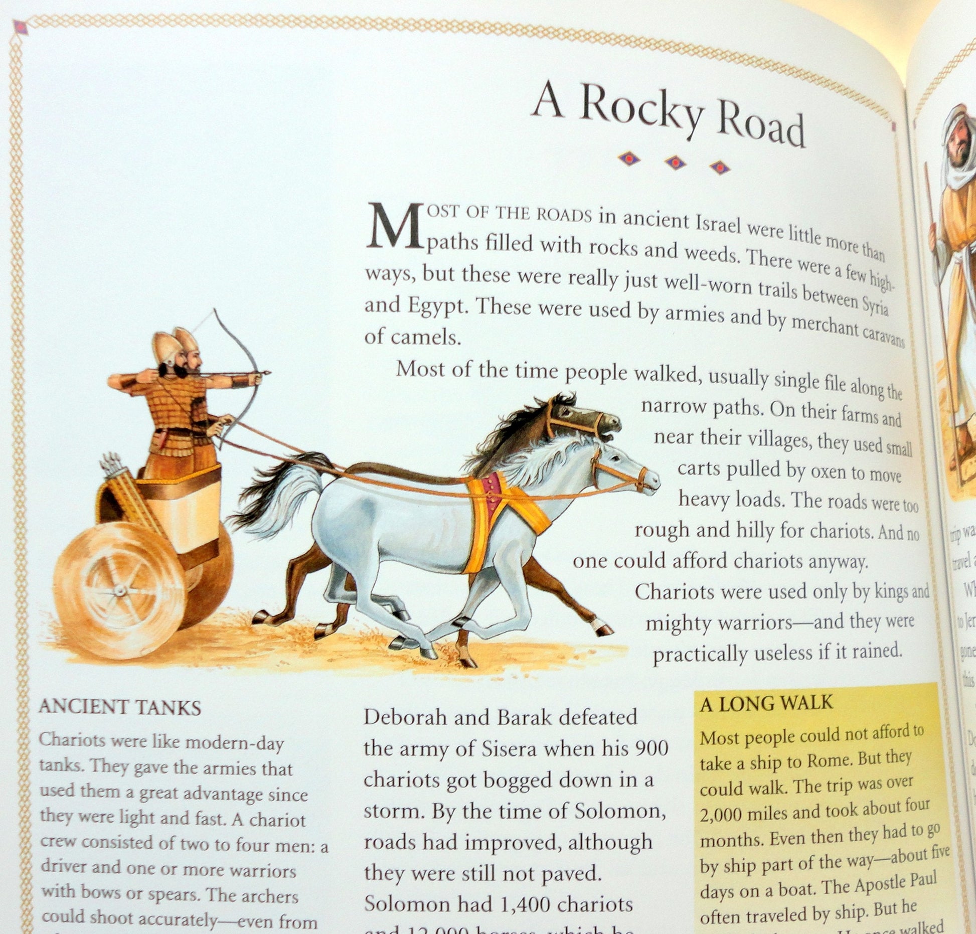 Children's Book of the Bible used book depot