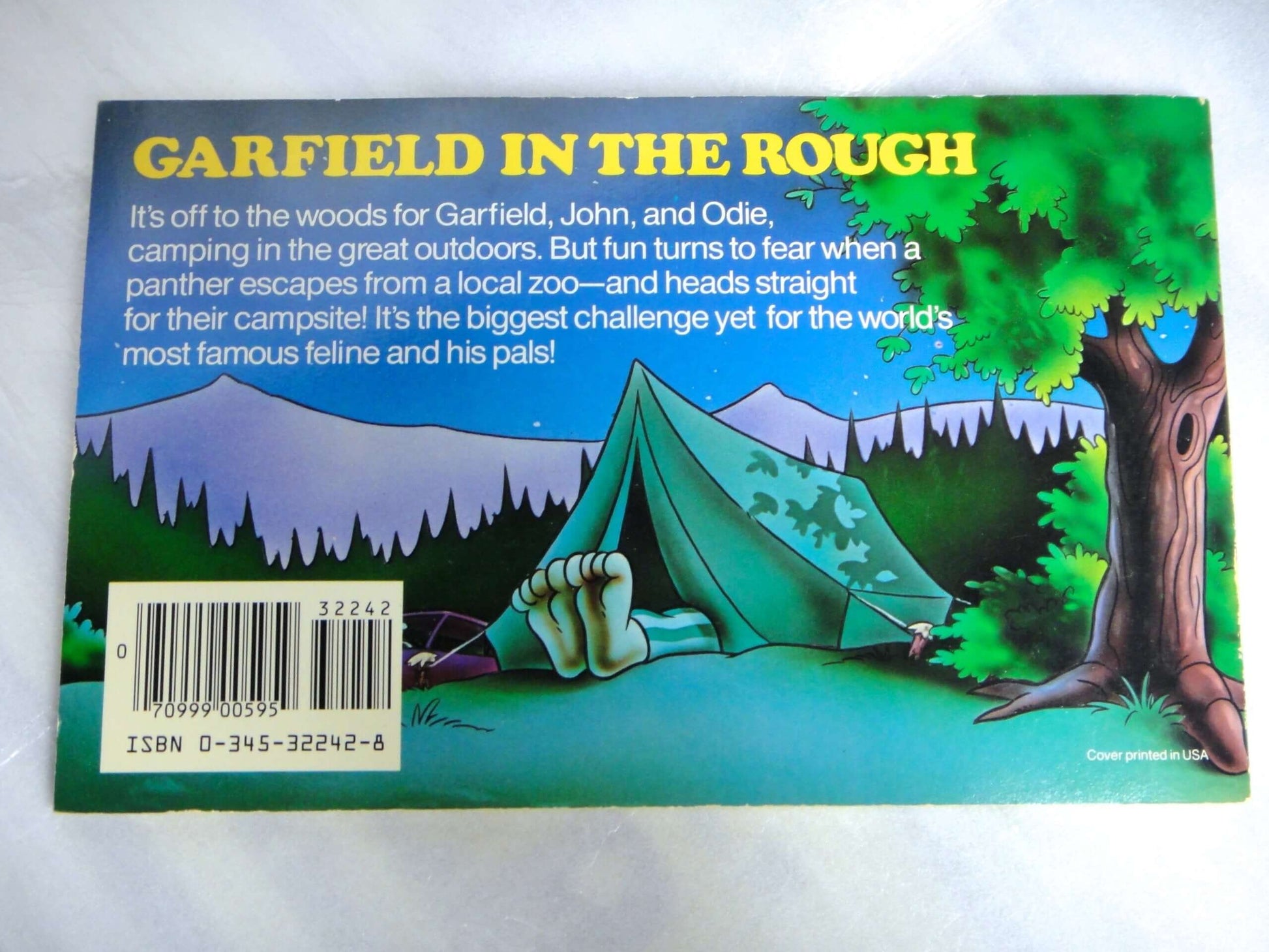 Garfield in the Rough used book depot