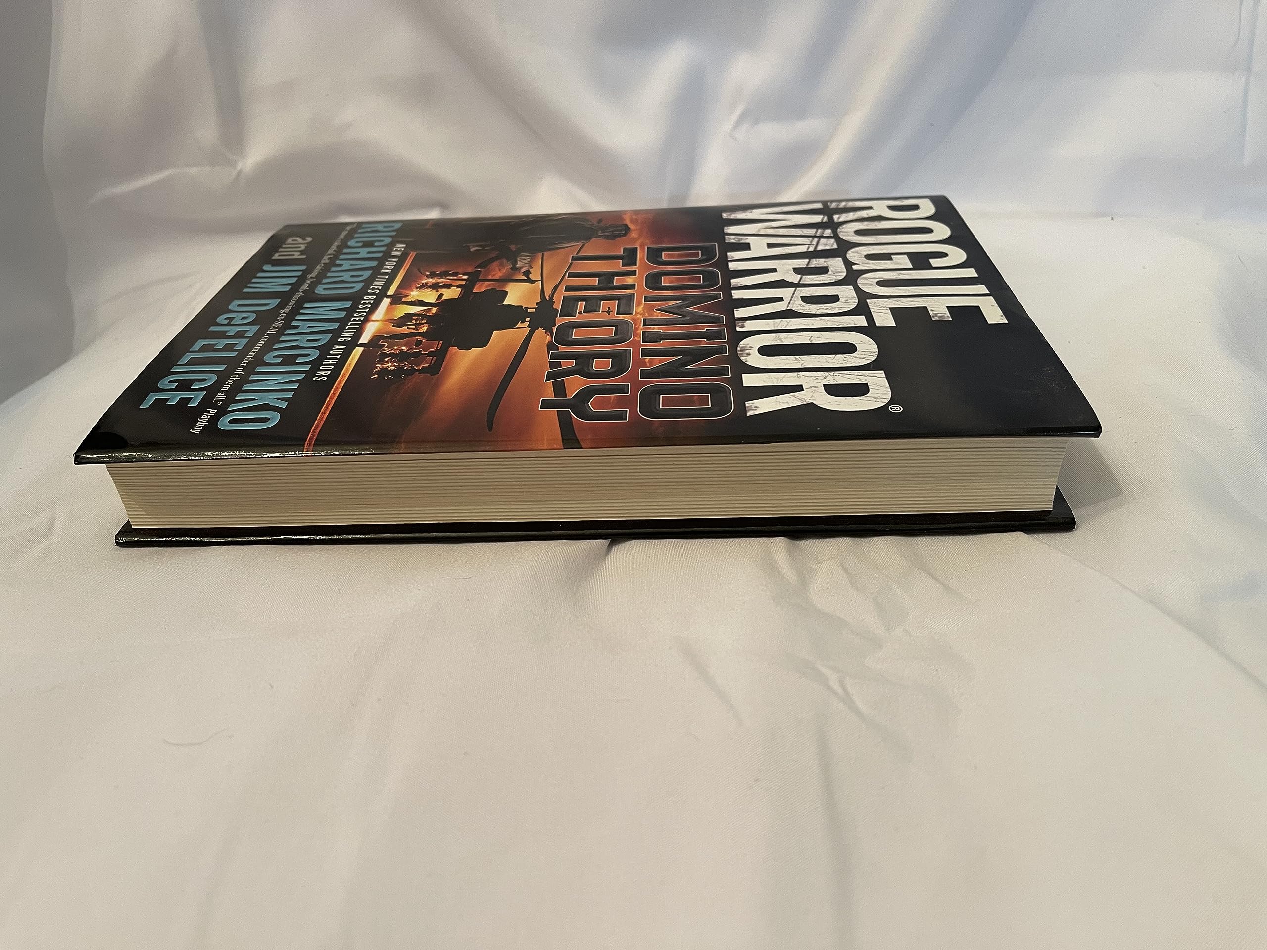 Rogue Warrior: Domino Theory used book depot