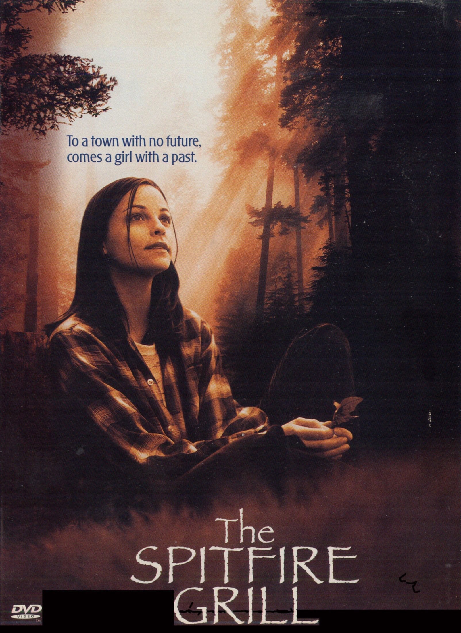 The Spitfire Grill [DVD] used book depot