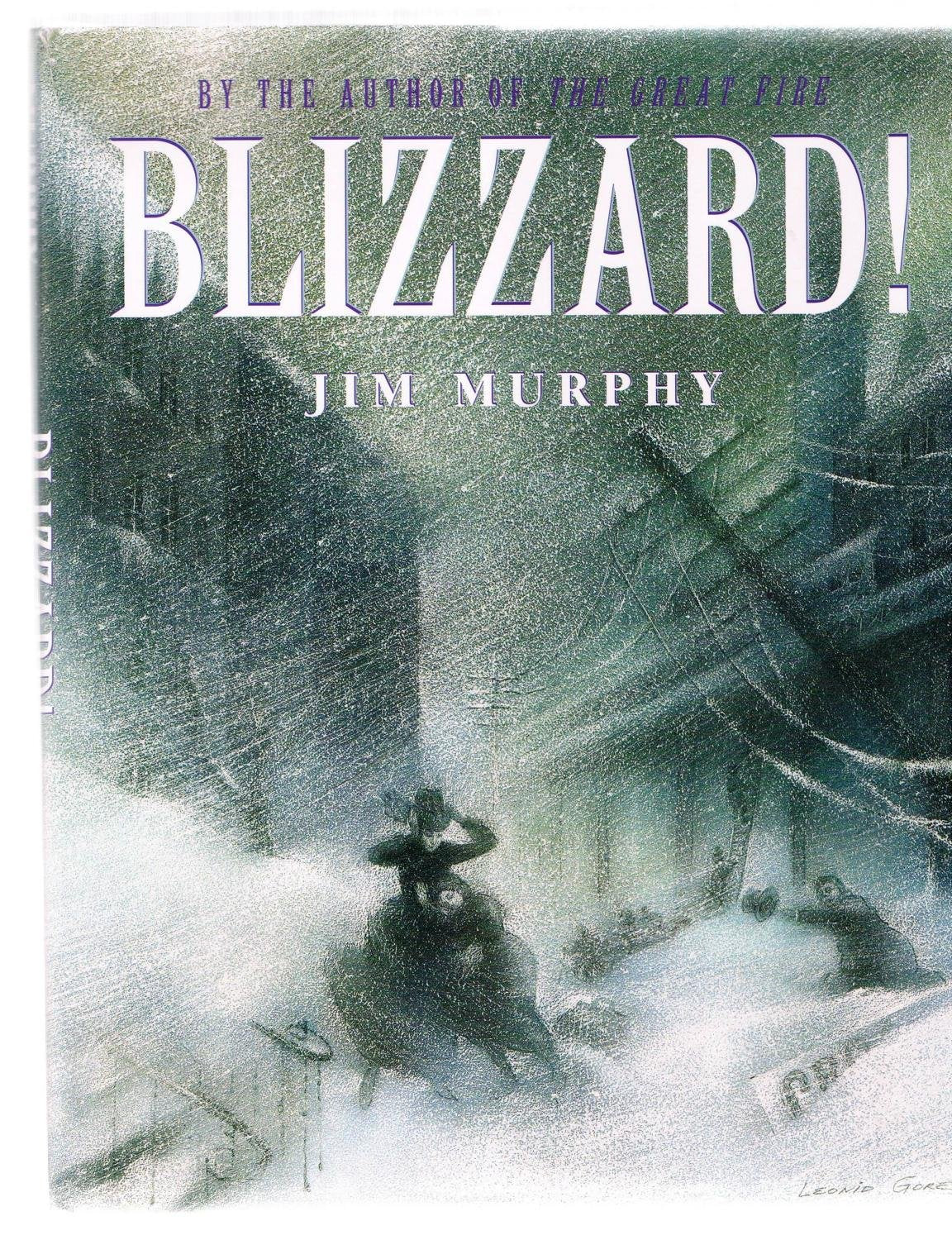 Blizzard used book depot
