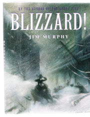 Blizzard used book depot