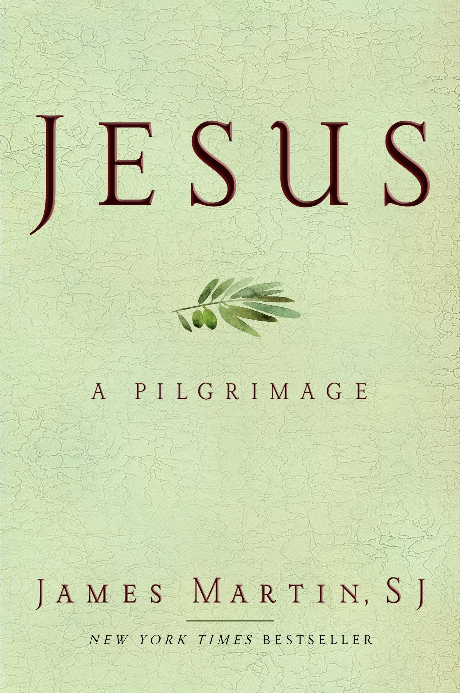 Jesus: A Pilgrimage used book depot