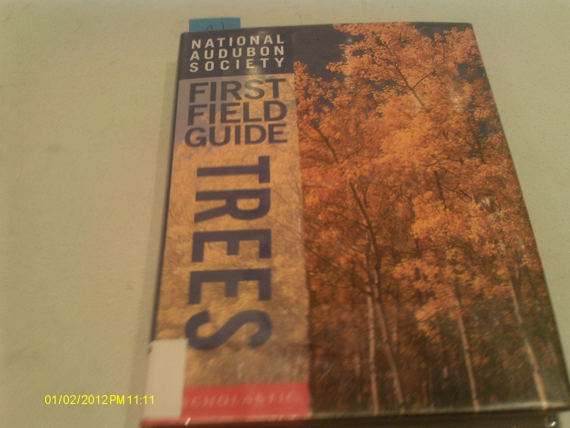 Trees (National Audubon Society First Field Guide) used book depot