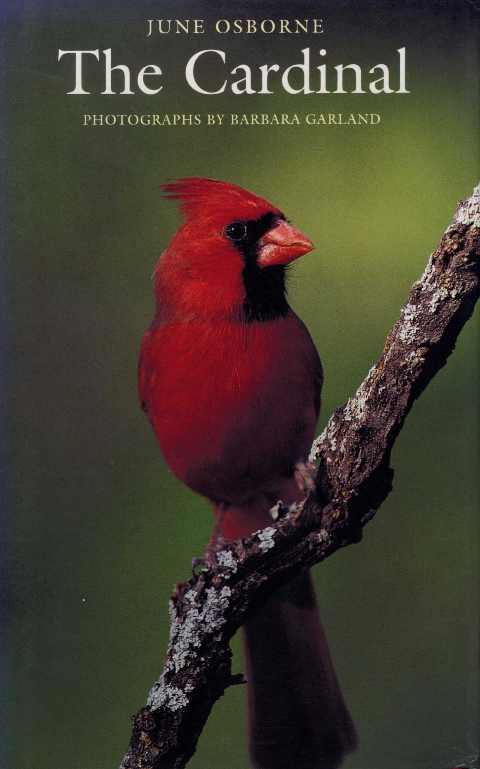 The Cardinal (Corrie Herring Hooks Series) used book depot