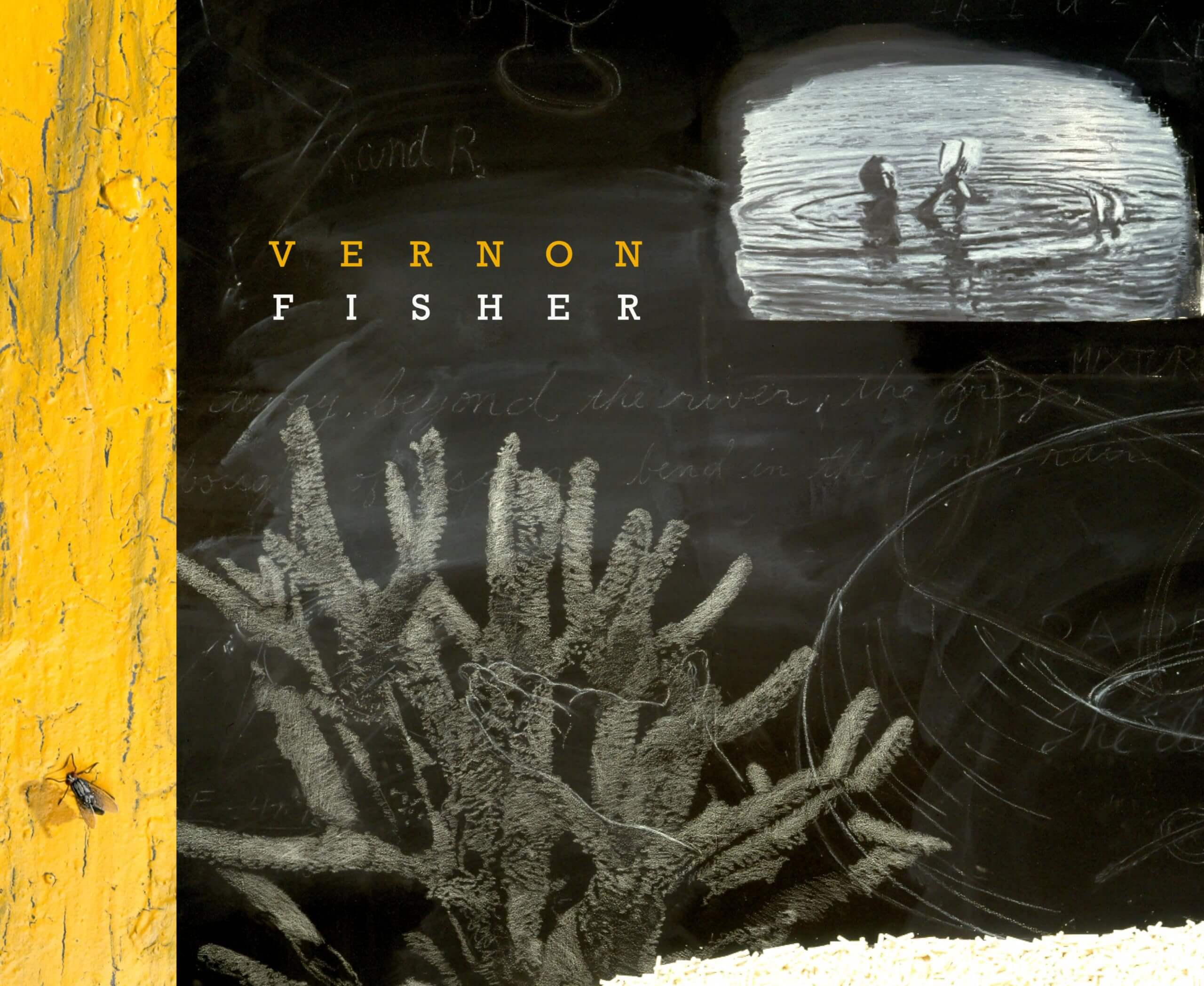 Vernon Fisher (M. Georgia Hegarty Dunkerley Contemporary Art Series) used book depot