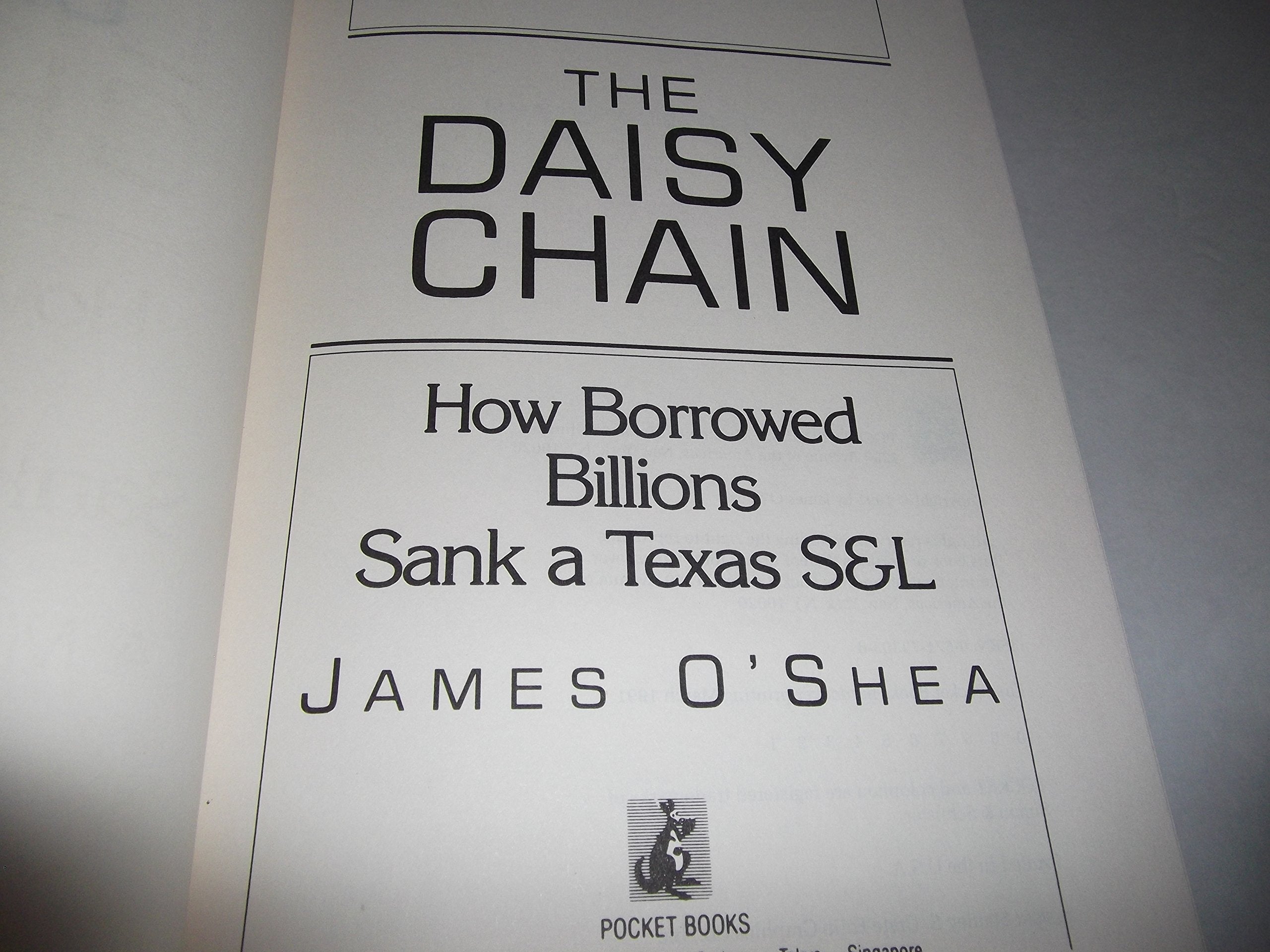 The Daisy Chain used book depot